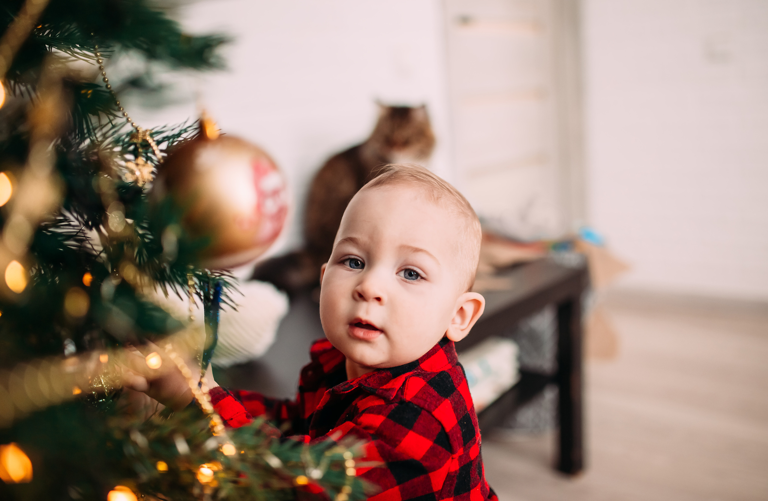 Алена, Саша, Саша и Кокос. Семейный и детский фотограф в Нижнем Новгороде Наумова Лидия