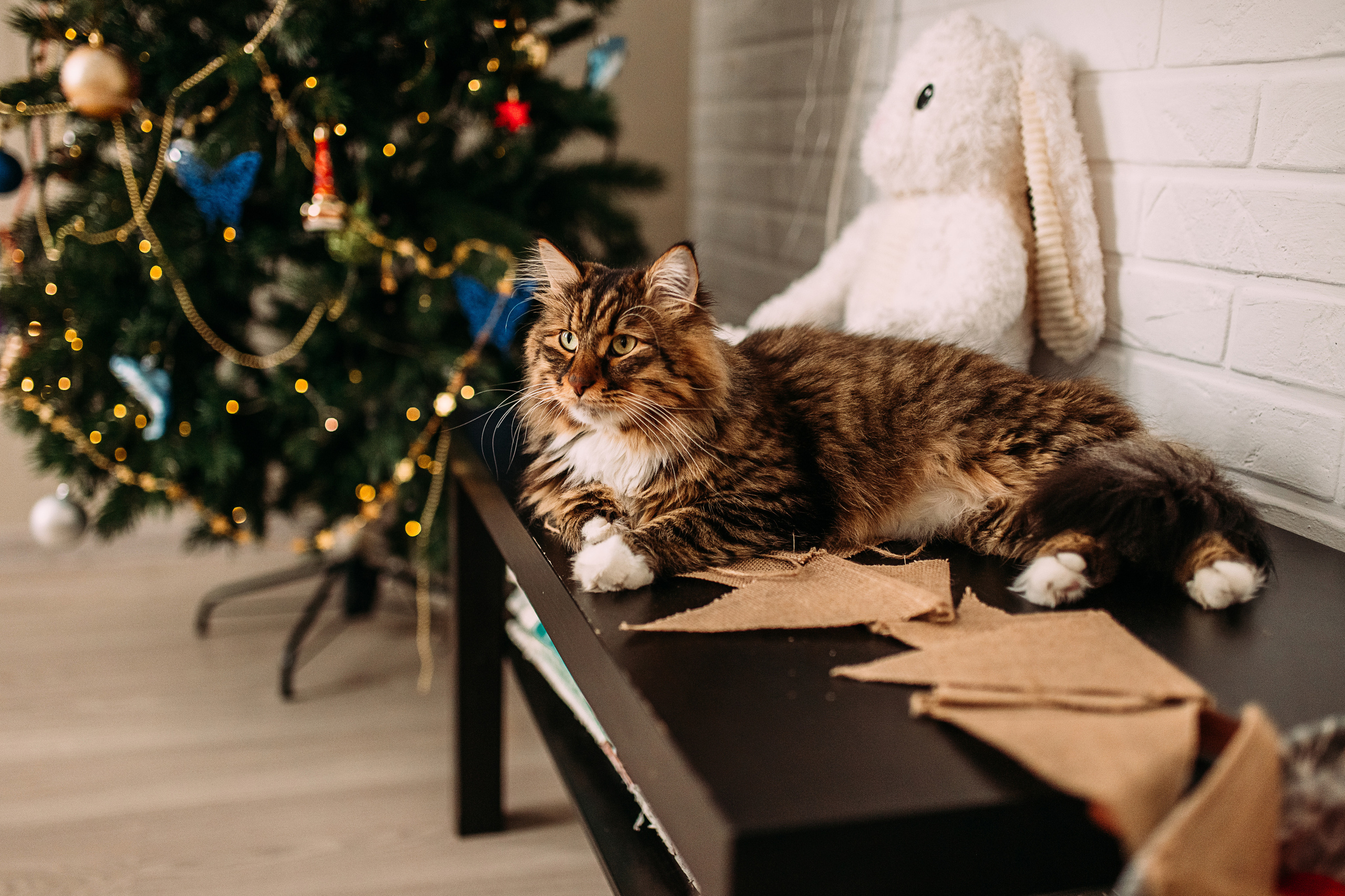 Алена, Саша, Саша и Кокос. Семейный и детский фотограф в Нижнем Новгороде Наумова Лидия