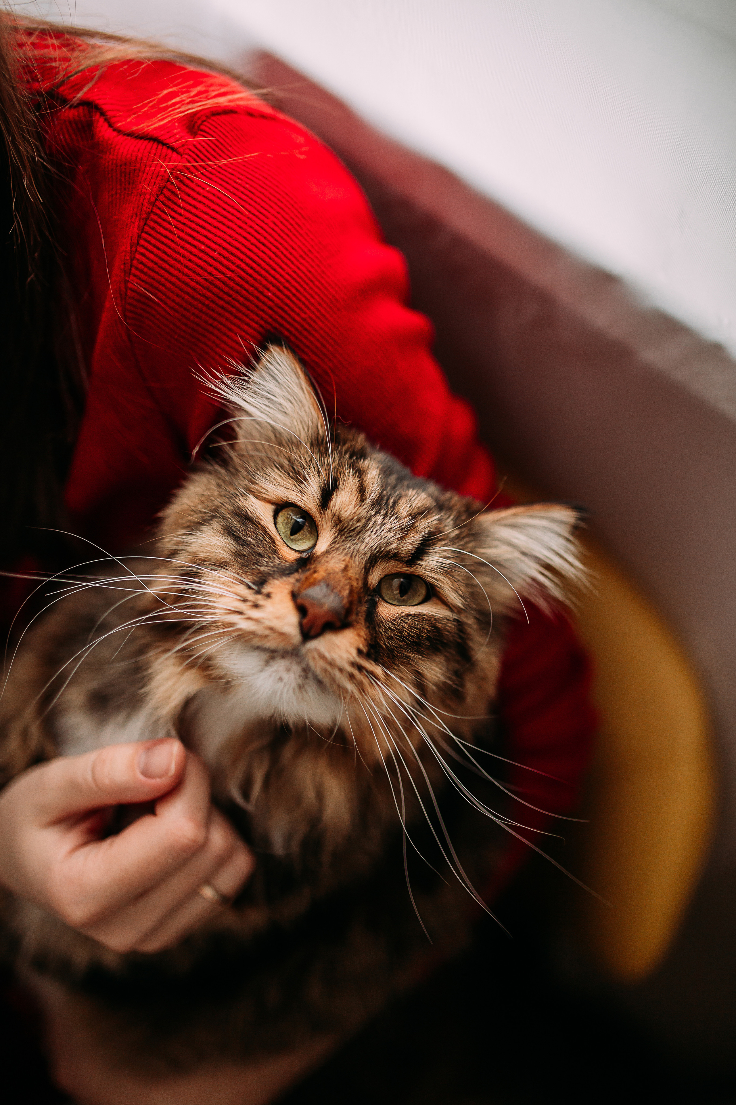 Алена, Саша, Саша и Кокос. Семейный и детский фотограф в Нижнем Новгороде Наумова Лидия