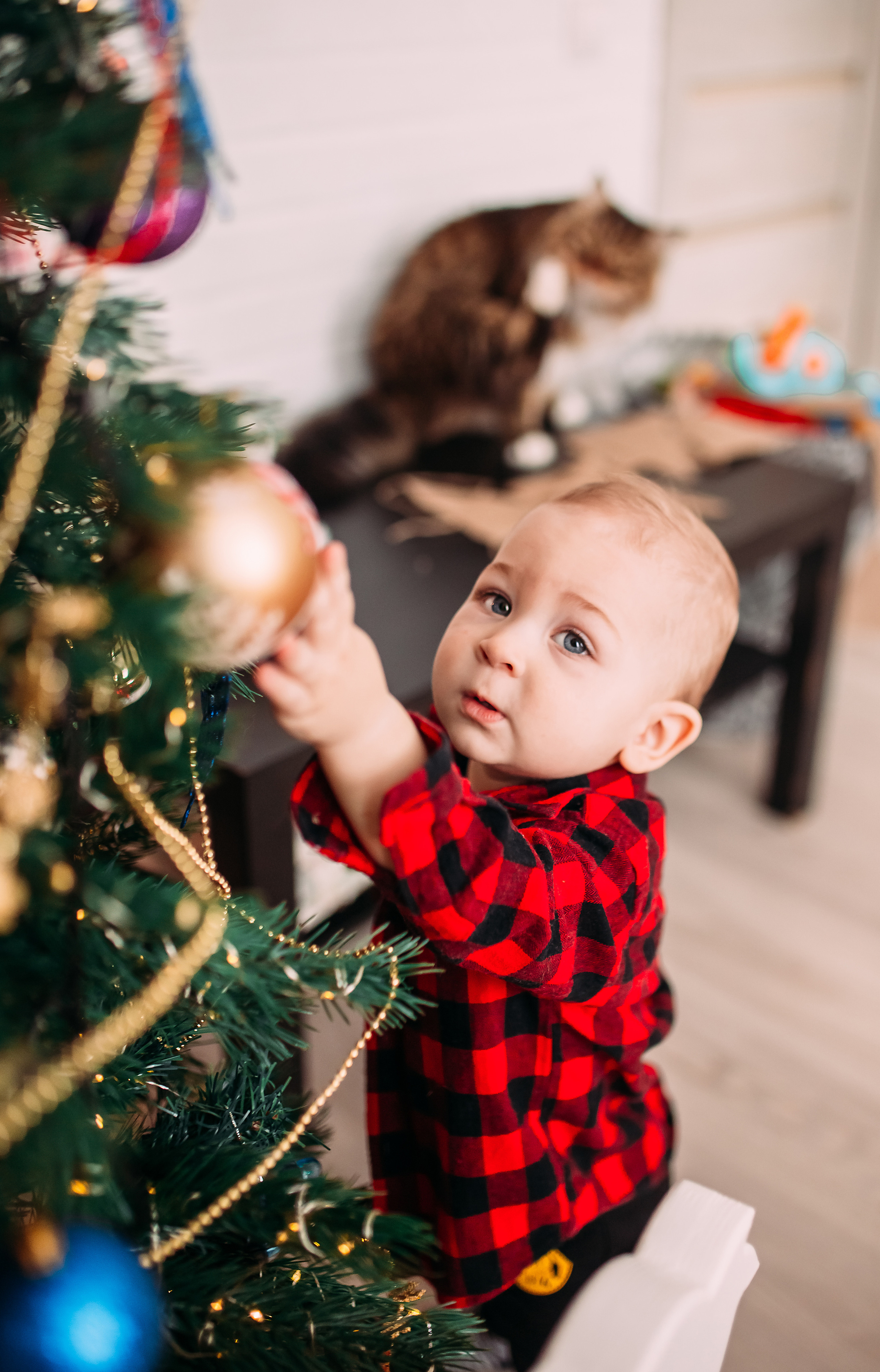 Алена, Саша, Саша и Кокос. Семейный и детский фотограф в Нижнем Новгороде Наумова Лидия