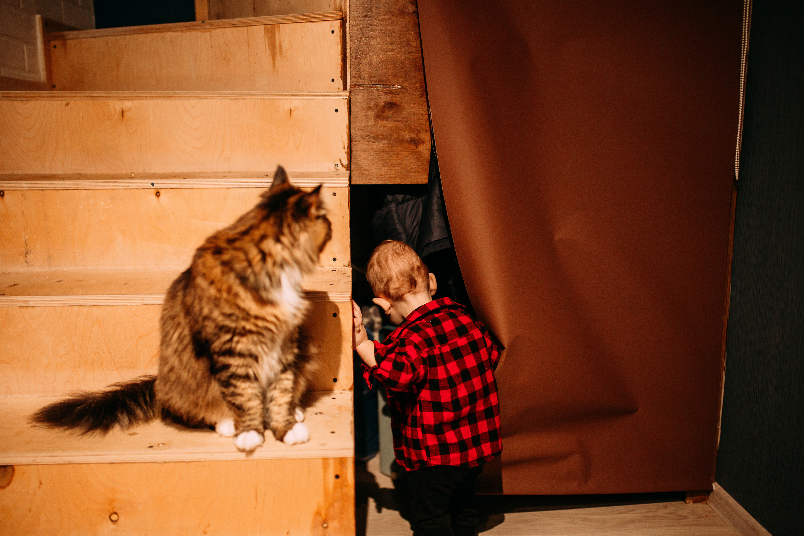 Алена, Саша, Саша и Кокос. Семейный и детский фотограф в Нижнем Новгороде Наумова Лидия