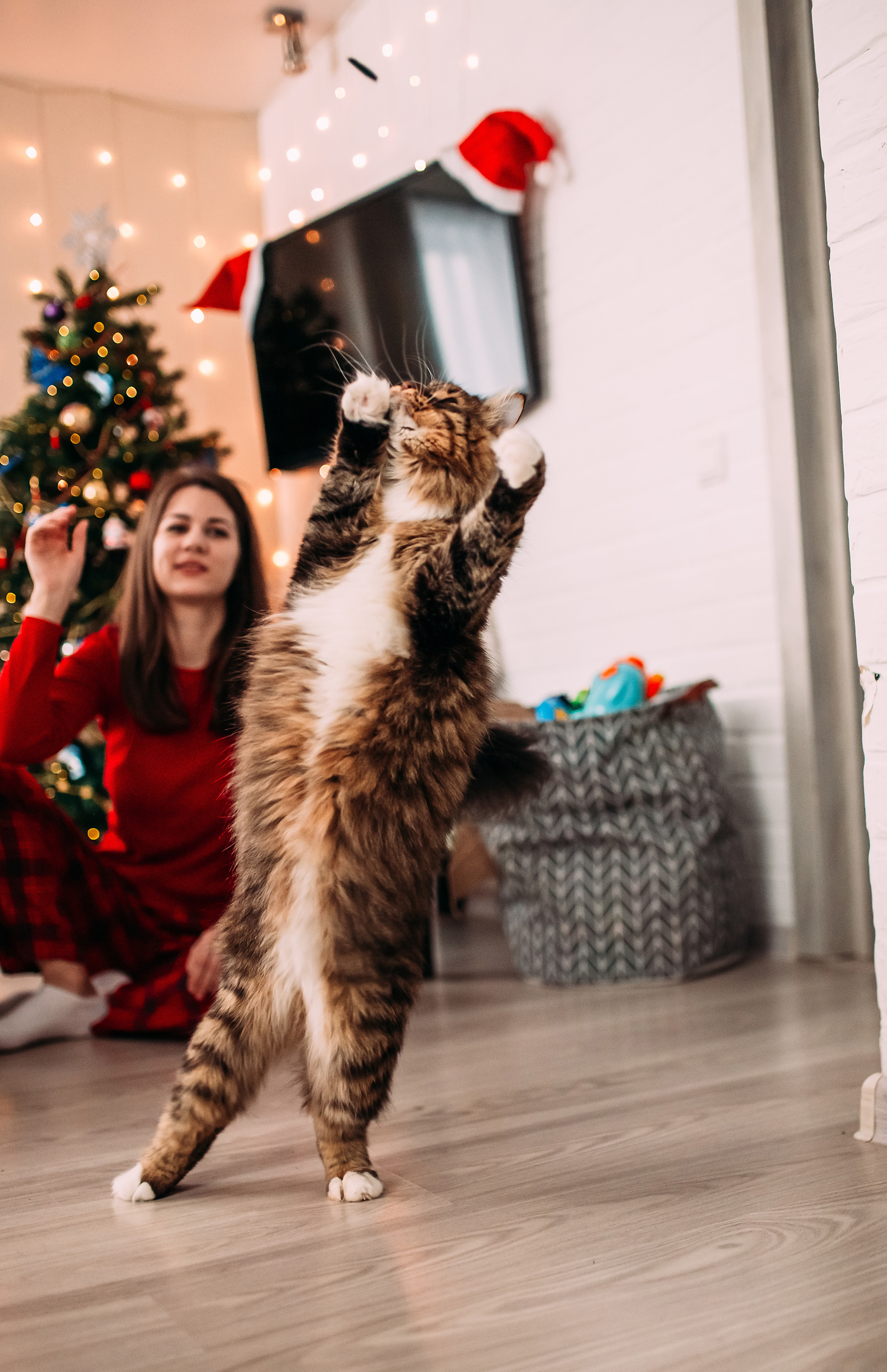 Алена, Саша, Саша и Кокос. Семейный и детский фотограф в Нижнем Новгороде Наумова Лидия