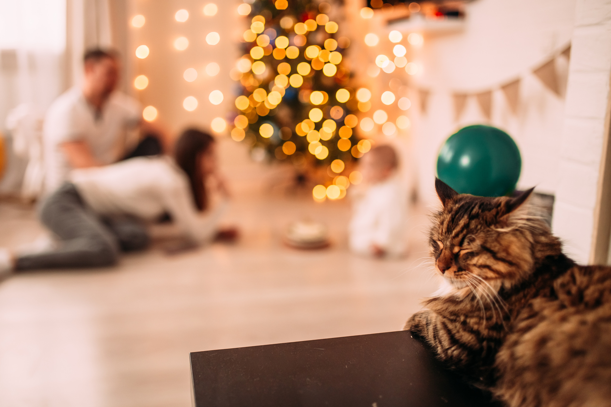 Алена, Саша, Саша и Кокос. Семейный и детский фотограф в Нижнем Новгороде Наумова Лидия
