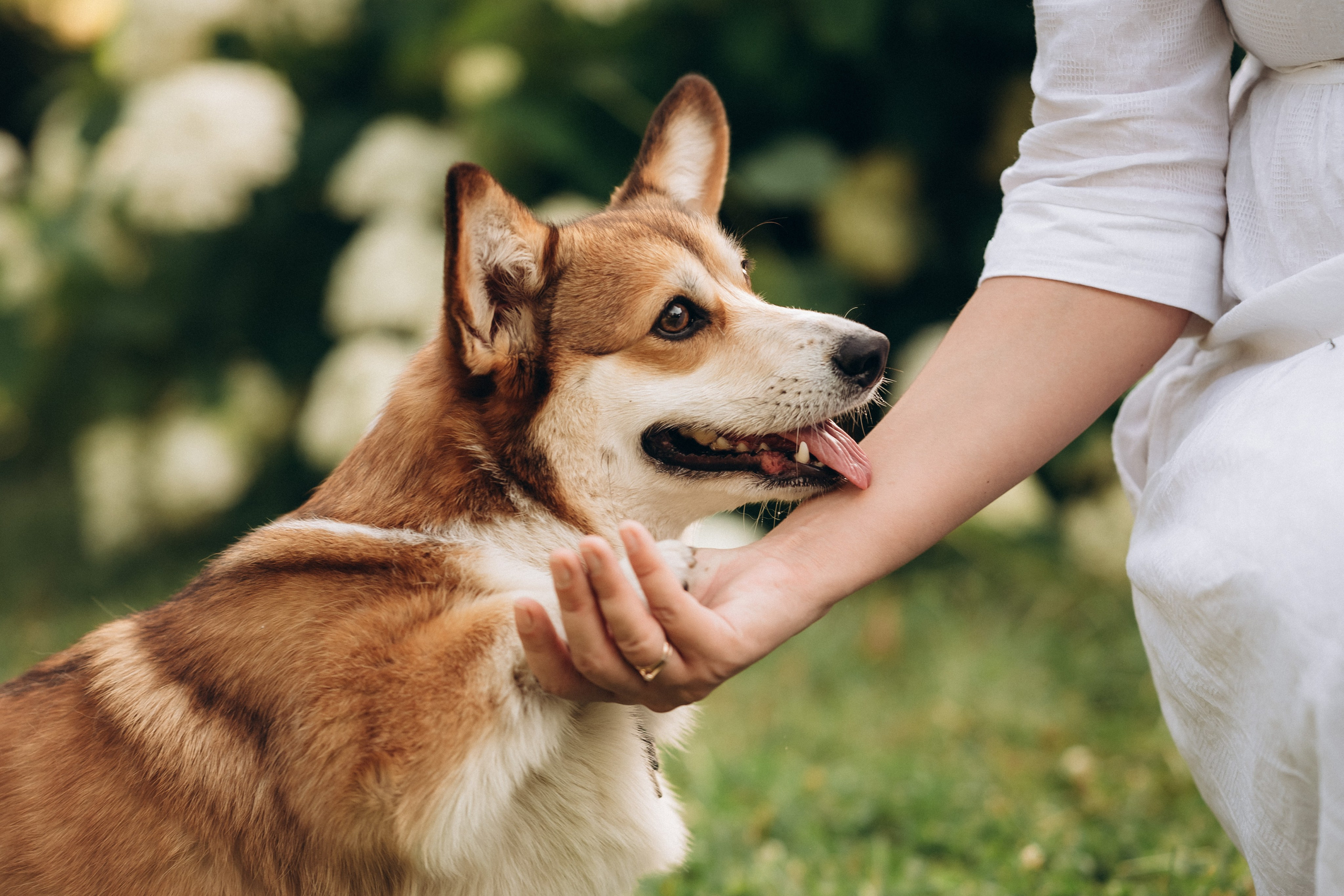 Прогулка в Ботаническом саду. Кристина Ветрова | ФОТОГРАФ | Москва