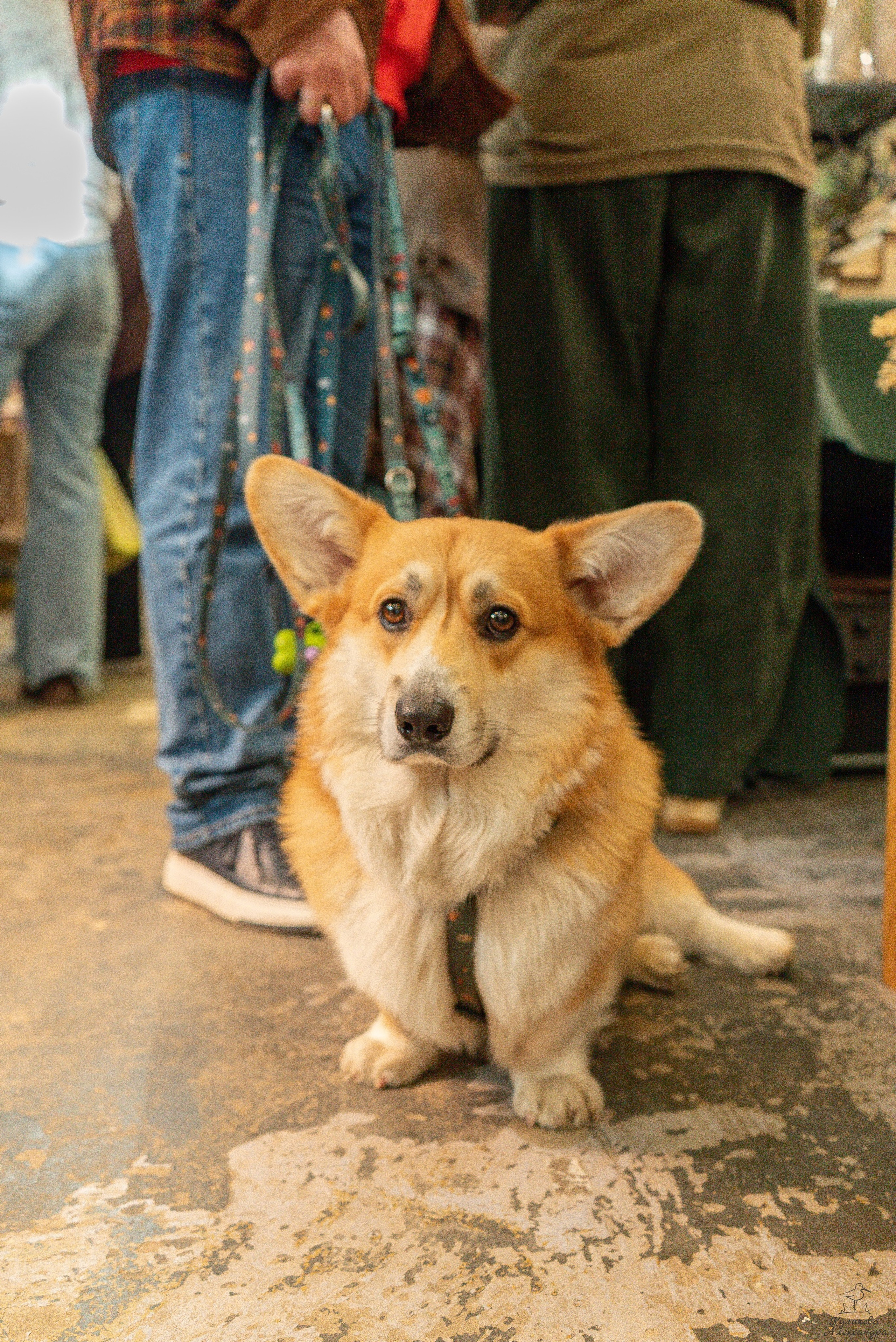 Гроубокс Артплей апрель. Александра Куликова фотограф, Москва