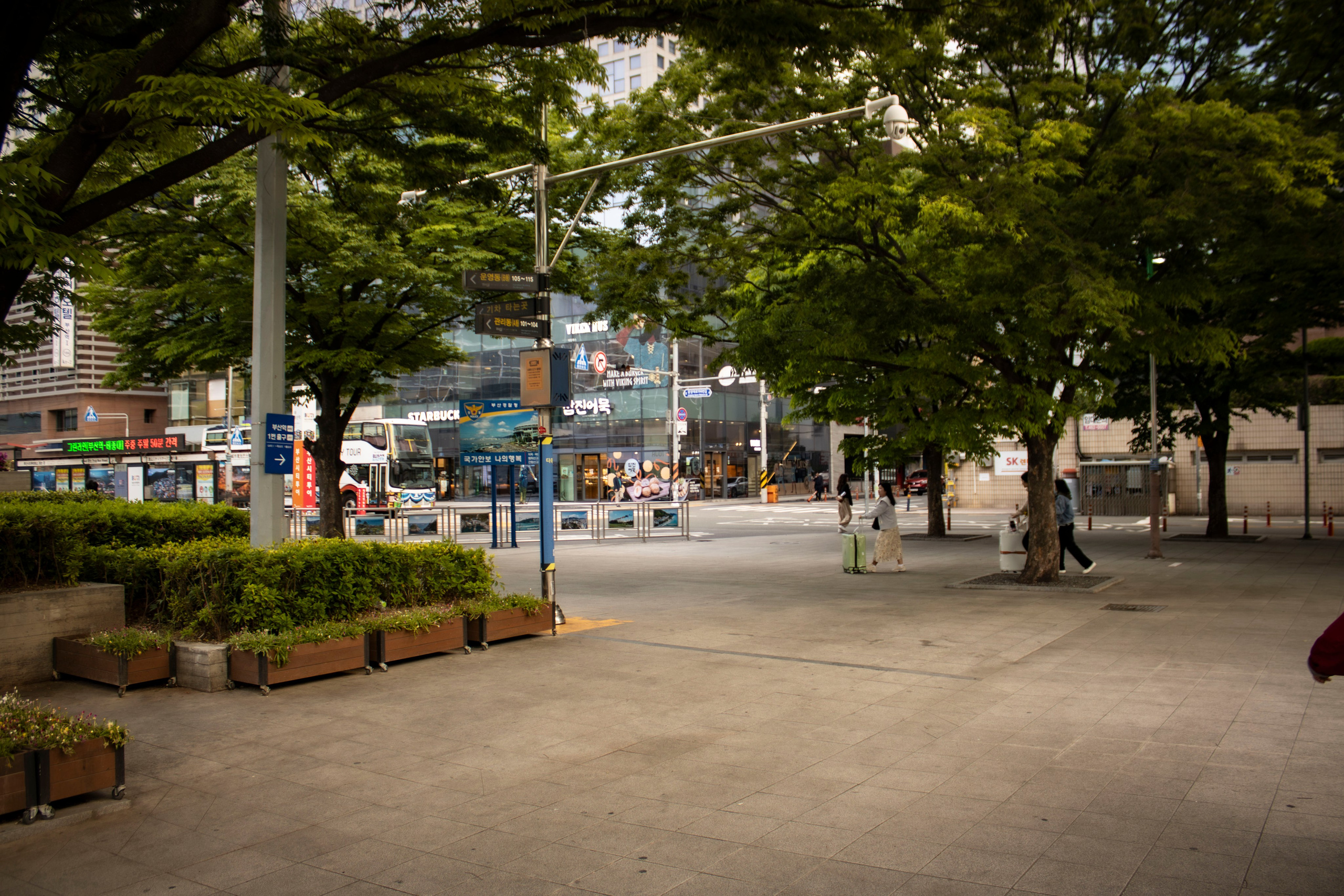 Однажды в Корее. Часть 1. Фотограф г. Владивосток