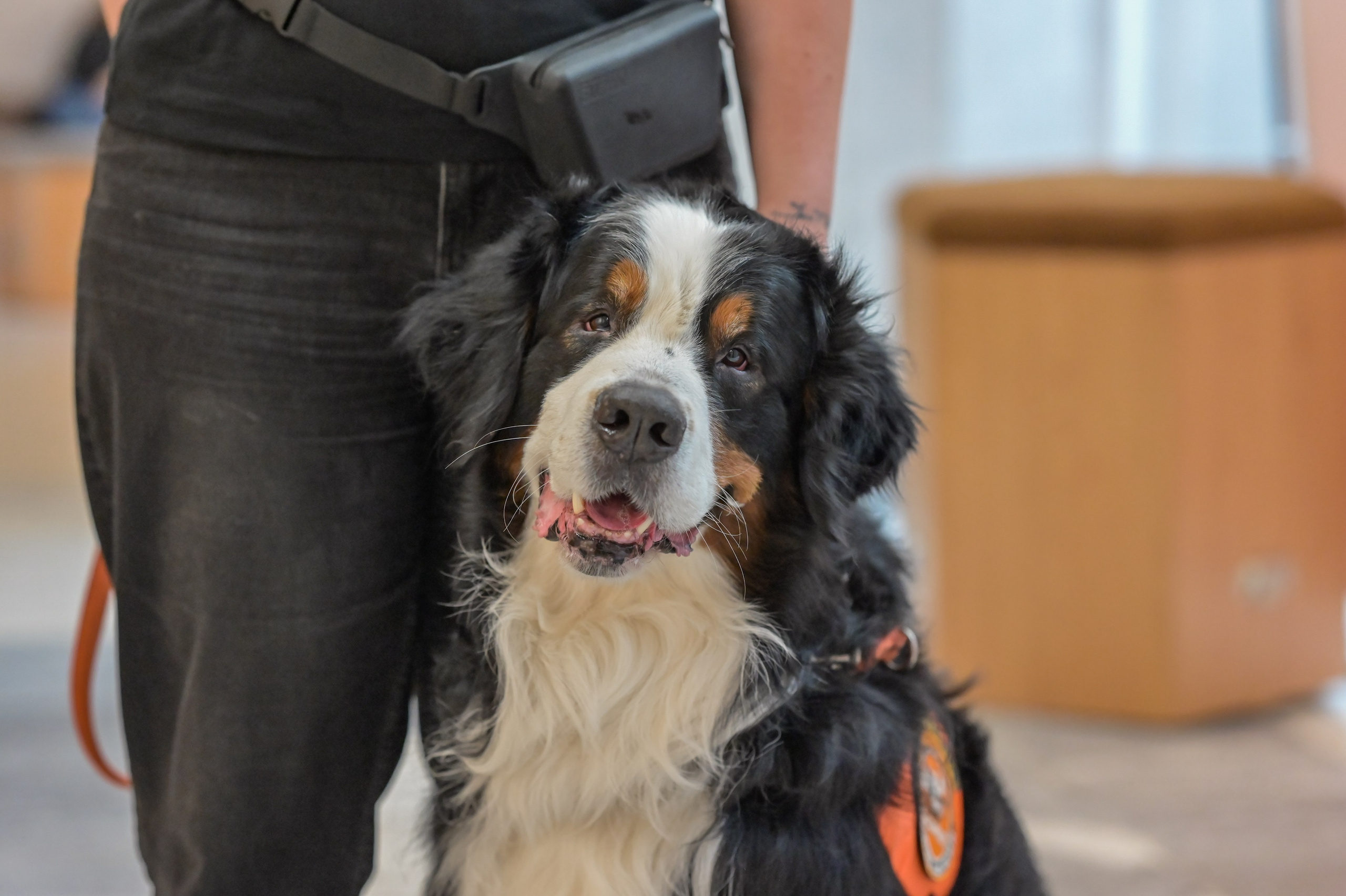 «Люди как люди» РДГБ 2024 г. Семейный и репортажный фотограф в Москве Анастасия Трубкина