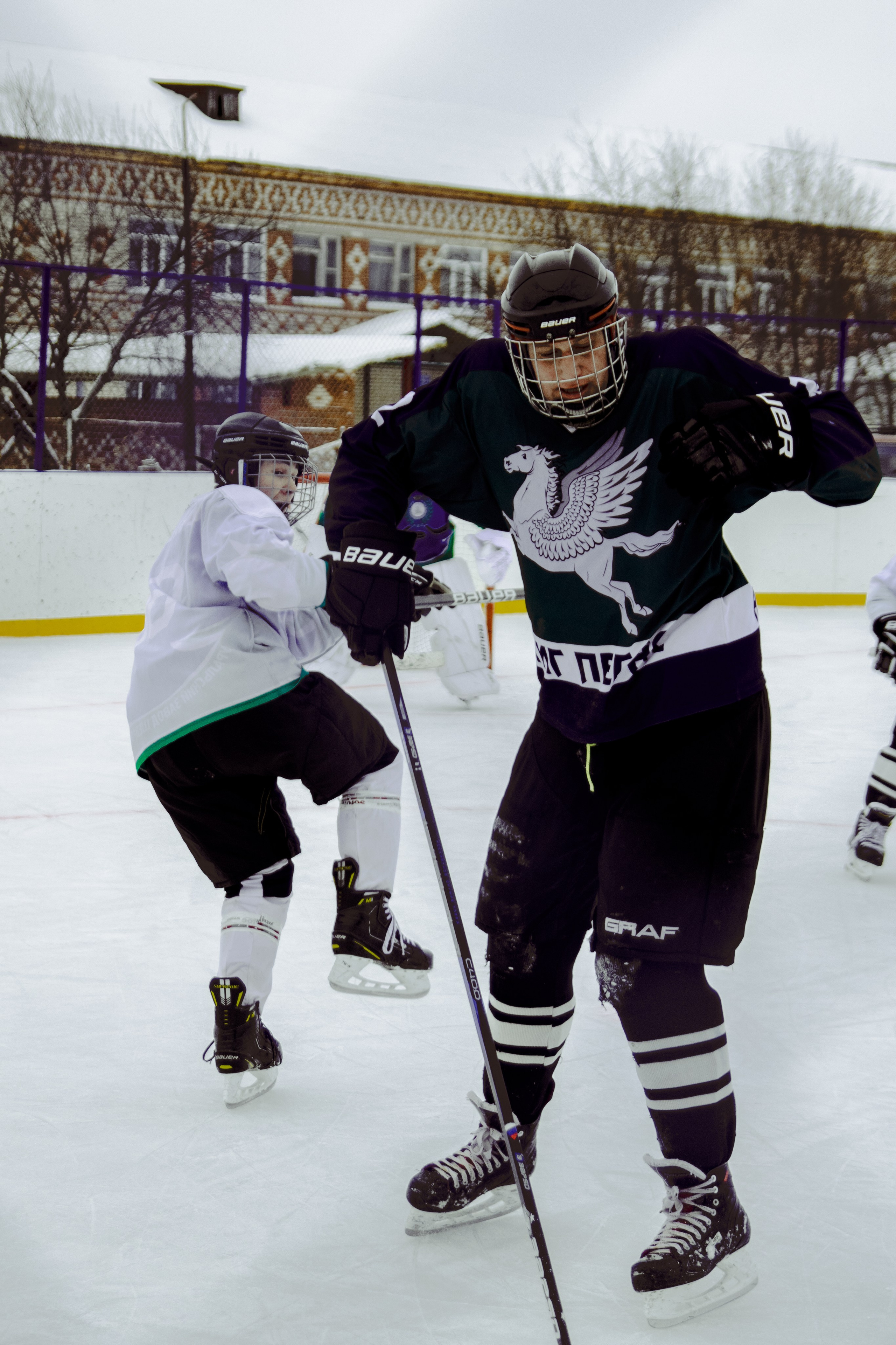 Хоккей 29.12.2024