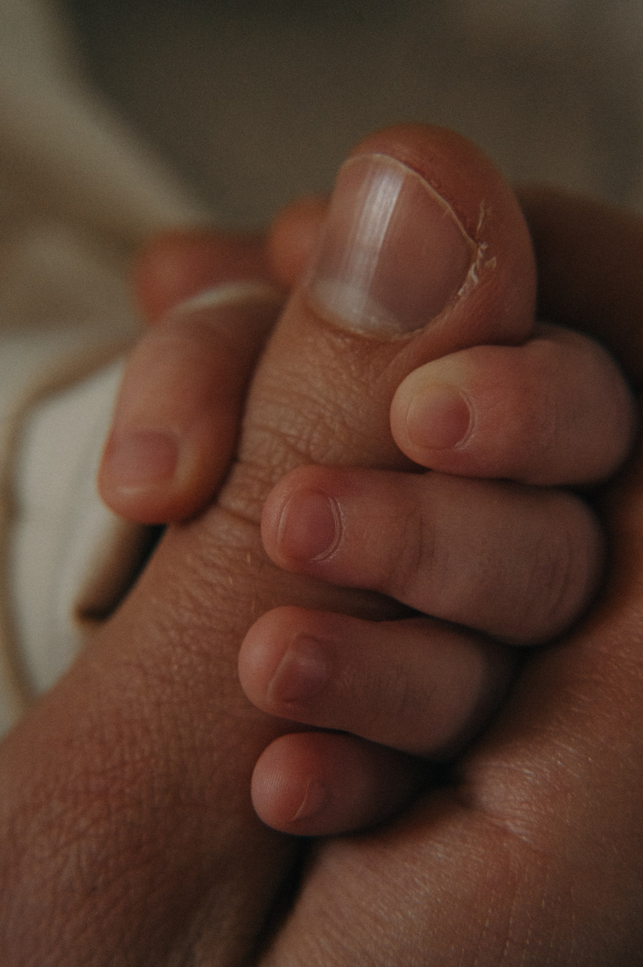 Фотосессия с малышом спб юля лампа. Фотограф новорожденных и беременых в санкт-петербурге Юля Лампа