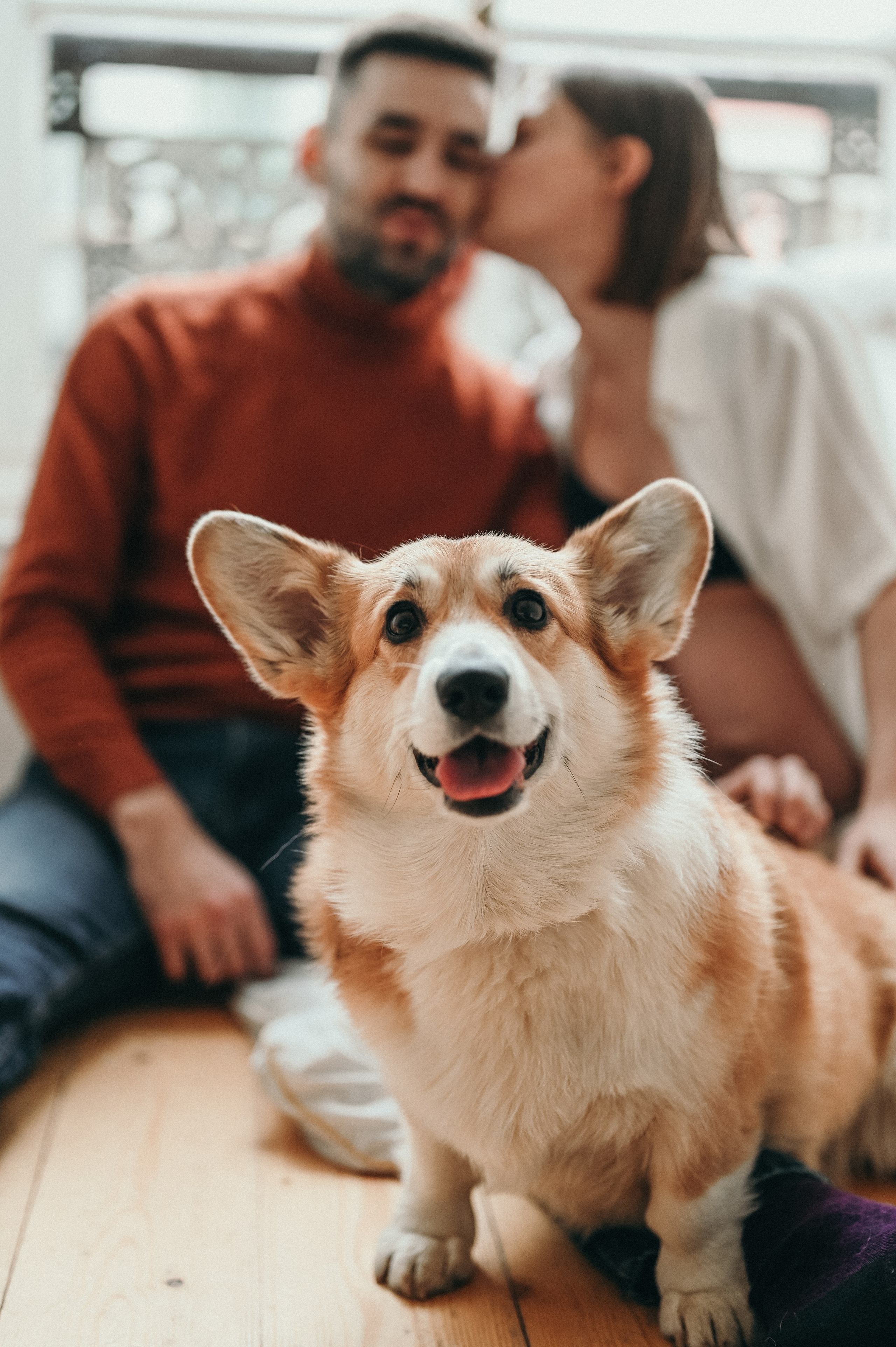 Беременность. Фотограф новорожденных и беременых в санкт-петербурге Юля Лампа