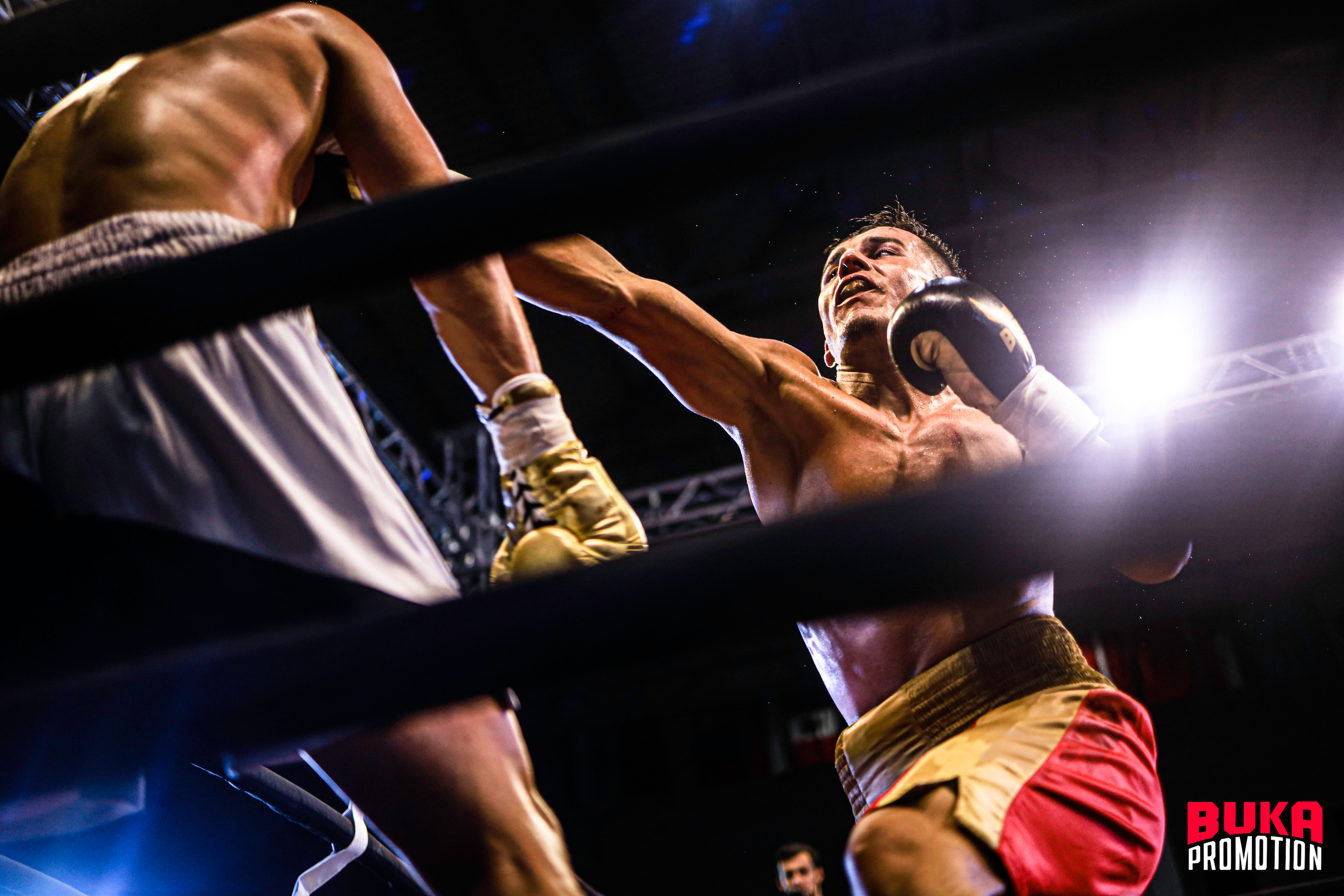 Фотосессия айкидо каратэ бокс самбо спорта