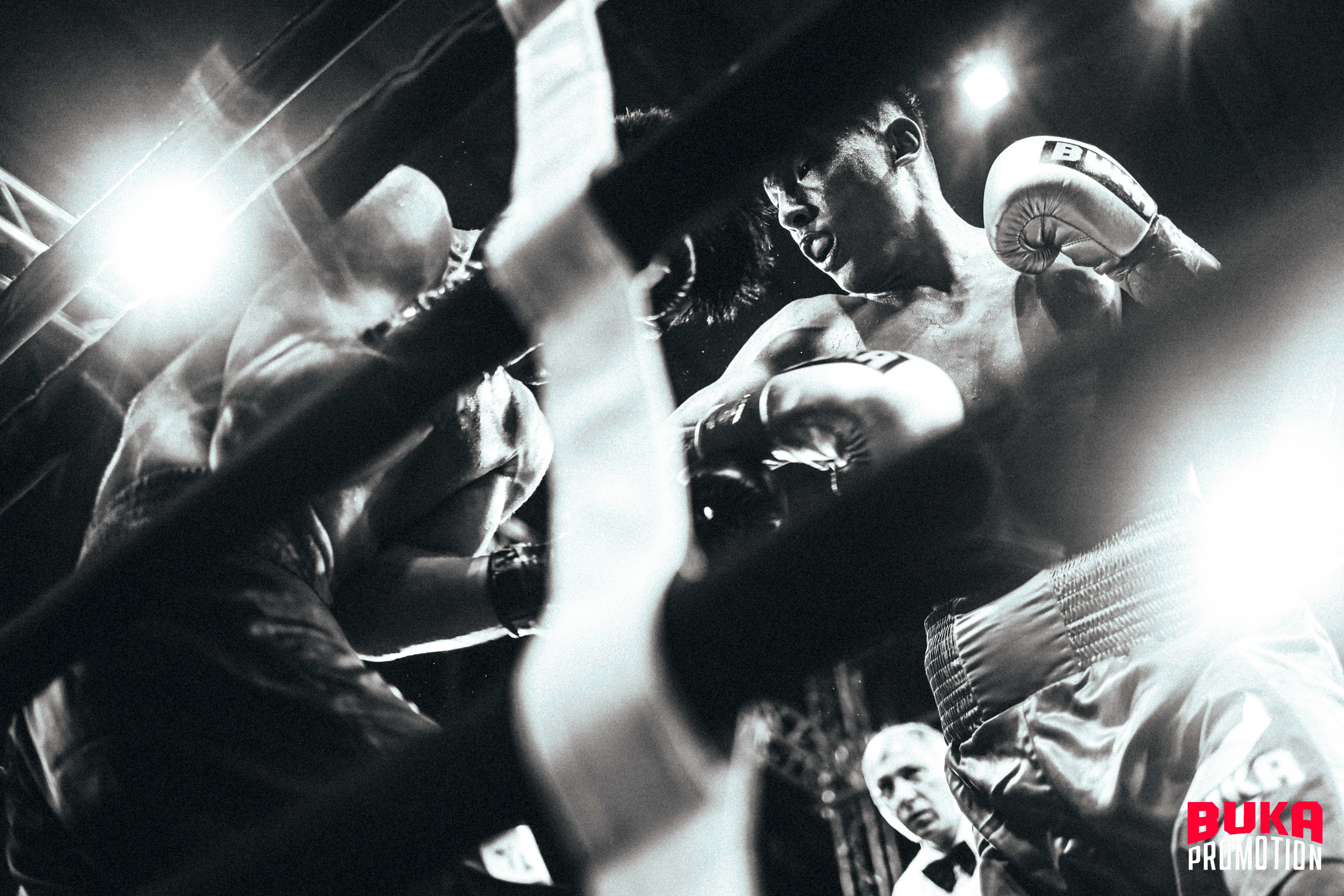 Фотосессия айкидо каратэ бокс самбо спорта