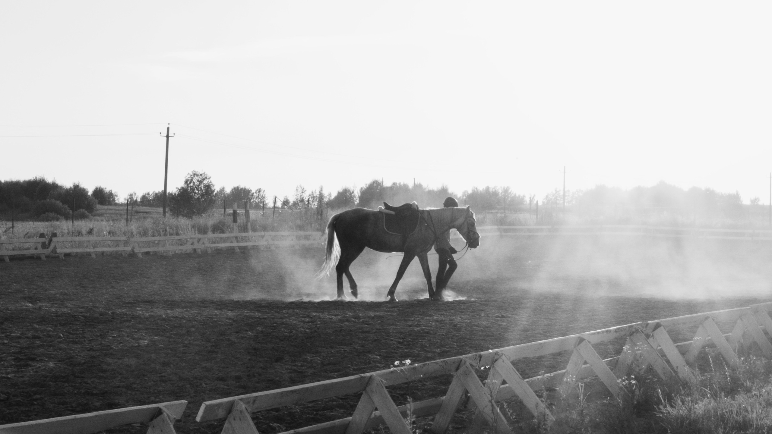 Постеры. HELGAPUPKINA PHOTO