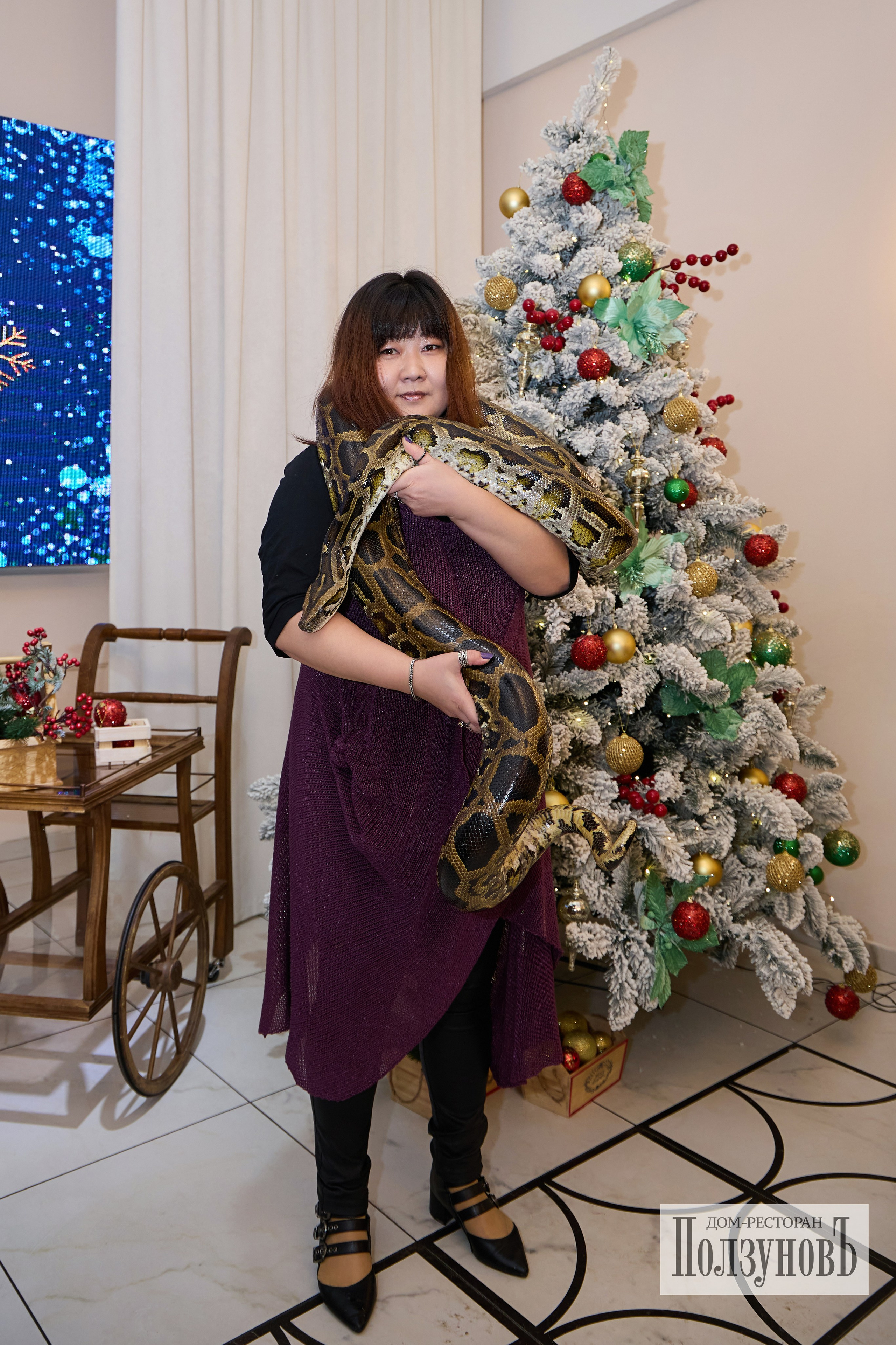 Новый Год Ползунов. Фотограф Барнаул Фатыхов Тимур