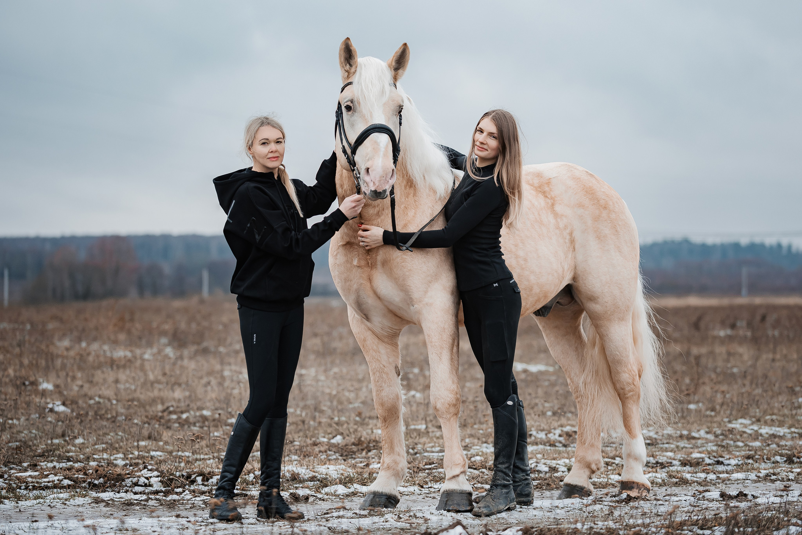 Equiestrian NES. Куракина Дарья • Конный фотограф
