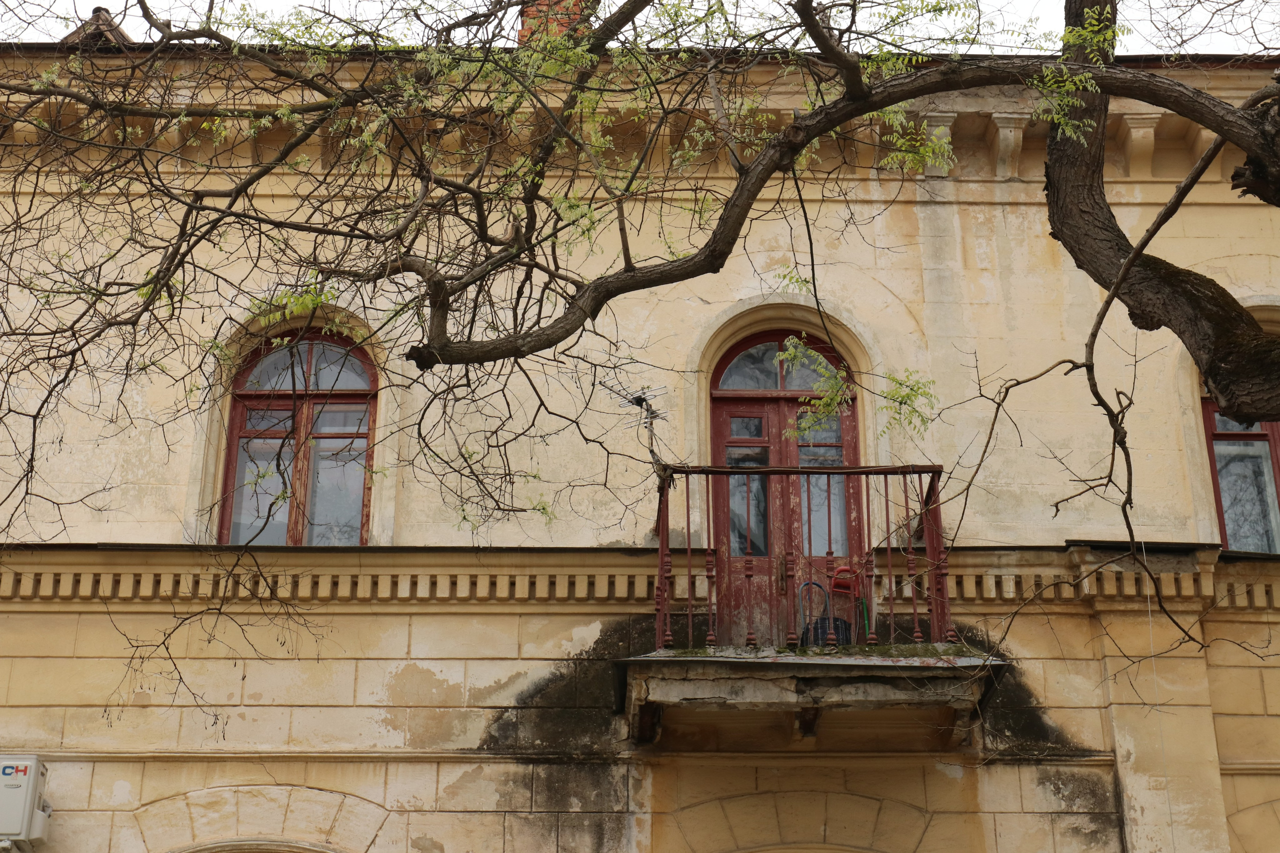 Крым. ЮБК (Севастополь, Кастрополь, Ялта). Май 2023. Путешественник-фотограф из Санкт-Петербурга Татьяна Свистулина