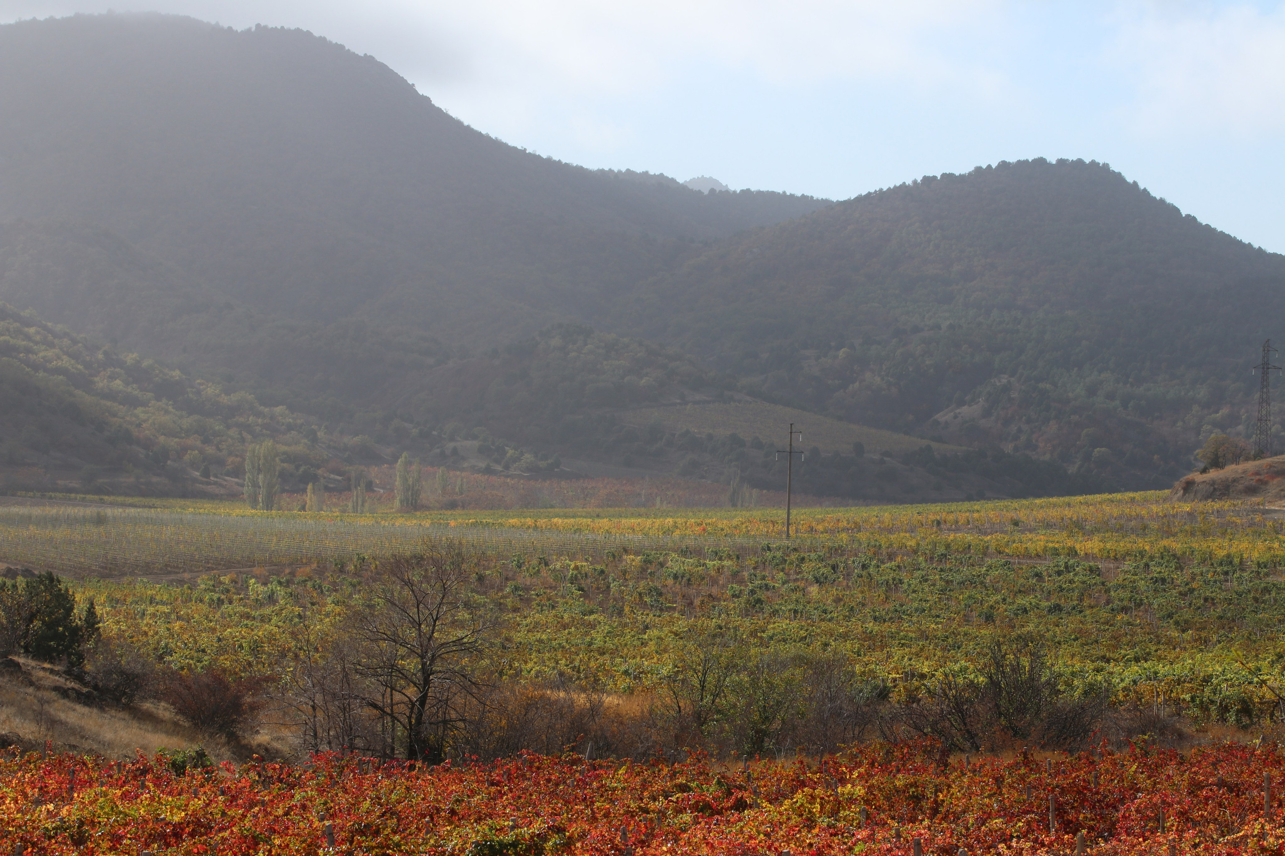 Крым. ЮБК (Гурзуф, Судак и их окрестности). Ноябрь 2023. Путешественник-фотограф из Санкт-Петербурга Татьяна Свистулина
