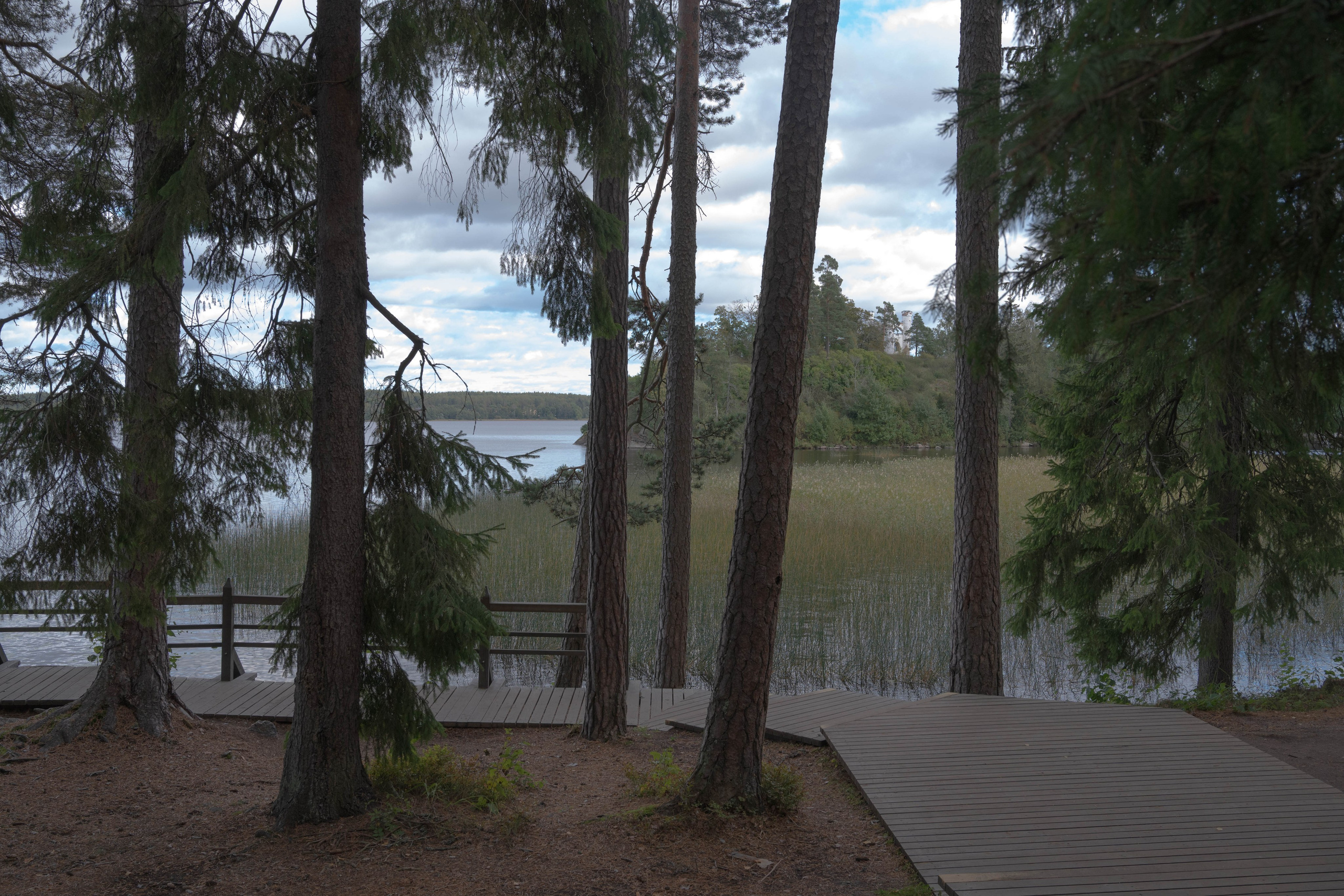 Monrepos. Shyjungle's Portfolio