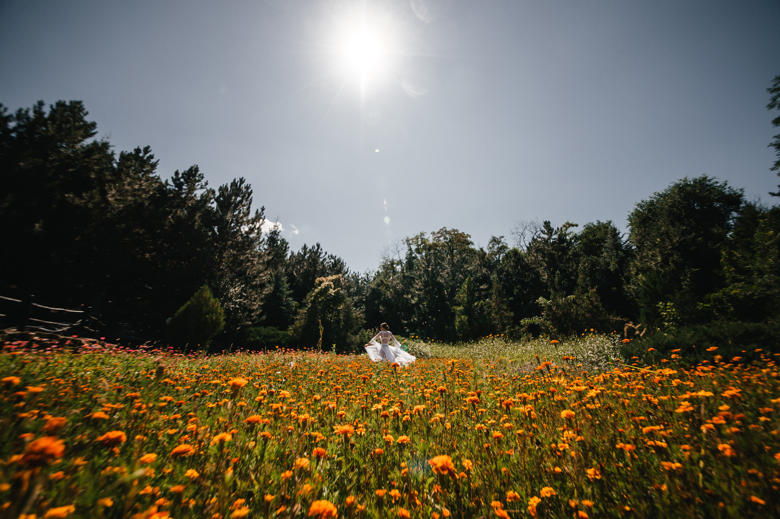 НИКИТА и ЕКАТЕРИНА. Свадебный организатор в Ростове-на-Дону Яснов Роман