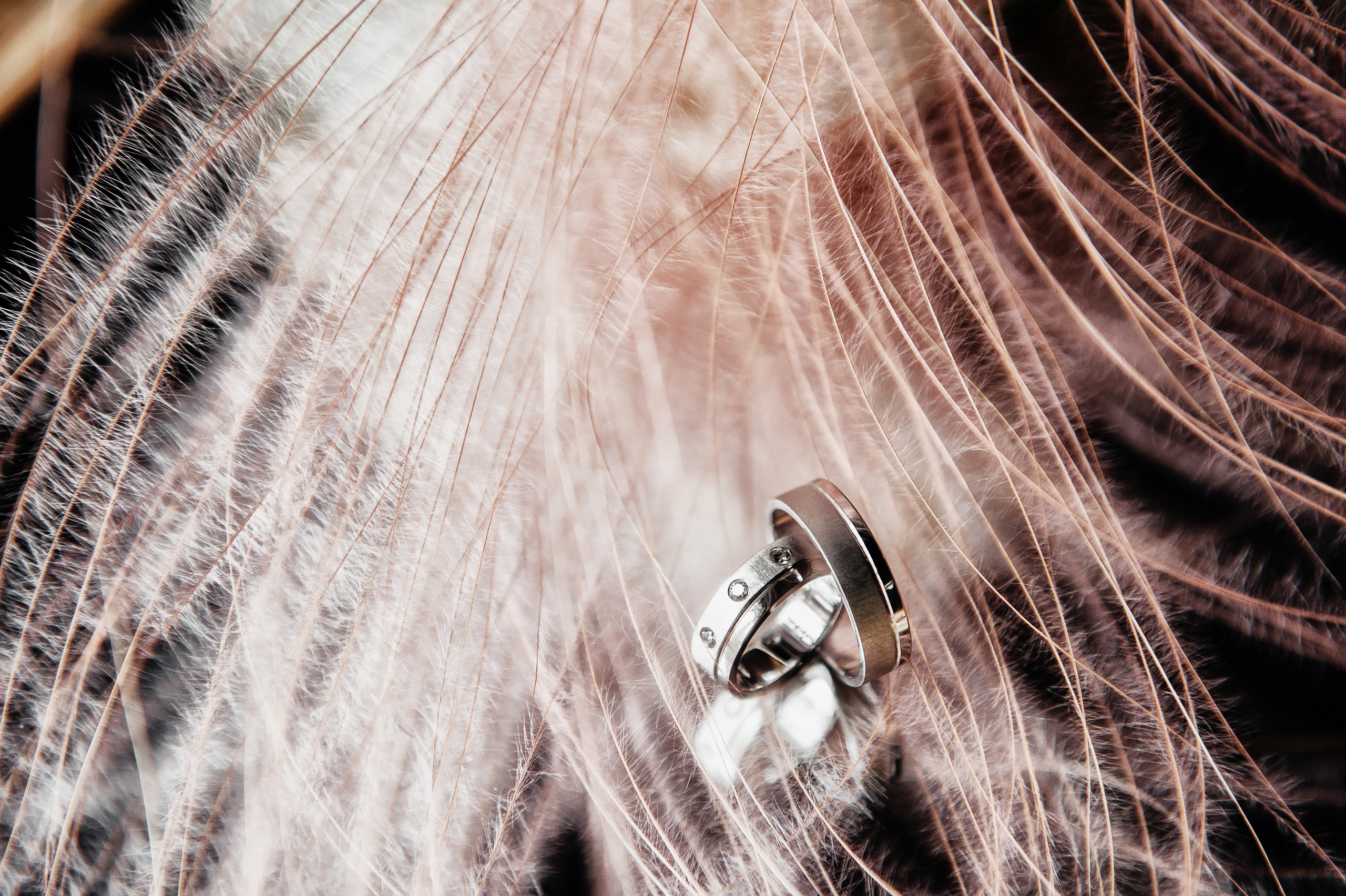 Сергей и Люба. 26 сентября 2018. Свадебный организатор в Ростове-на-Дону Яснов Роман