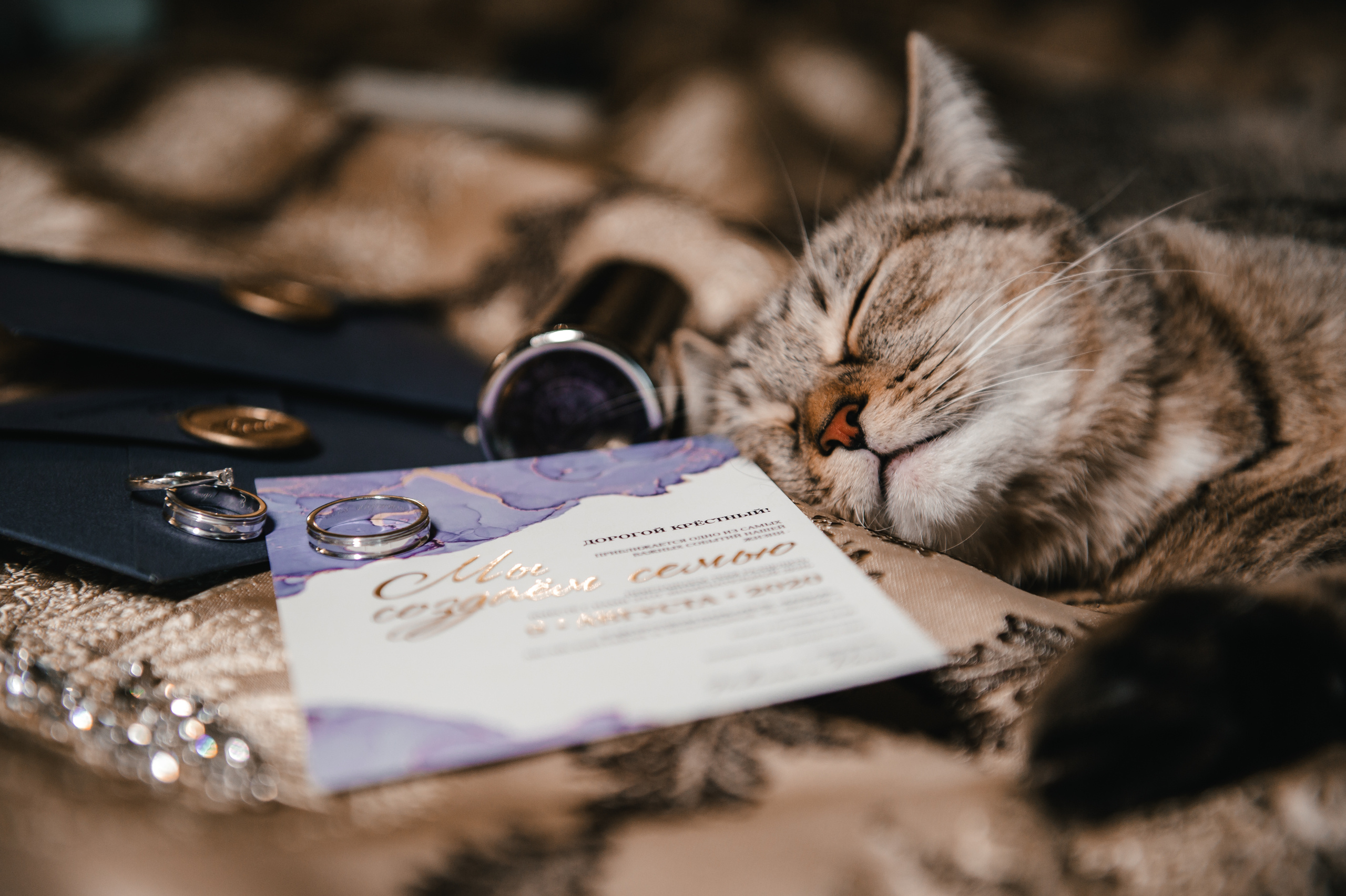 НИКИТА и ЕКАТЕРИНА. Свадебный организатор в Ростове-на-Дону Яснов Роман