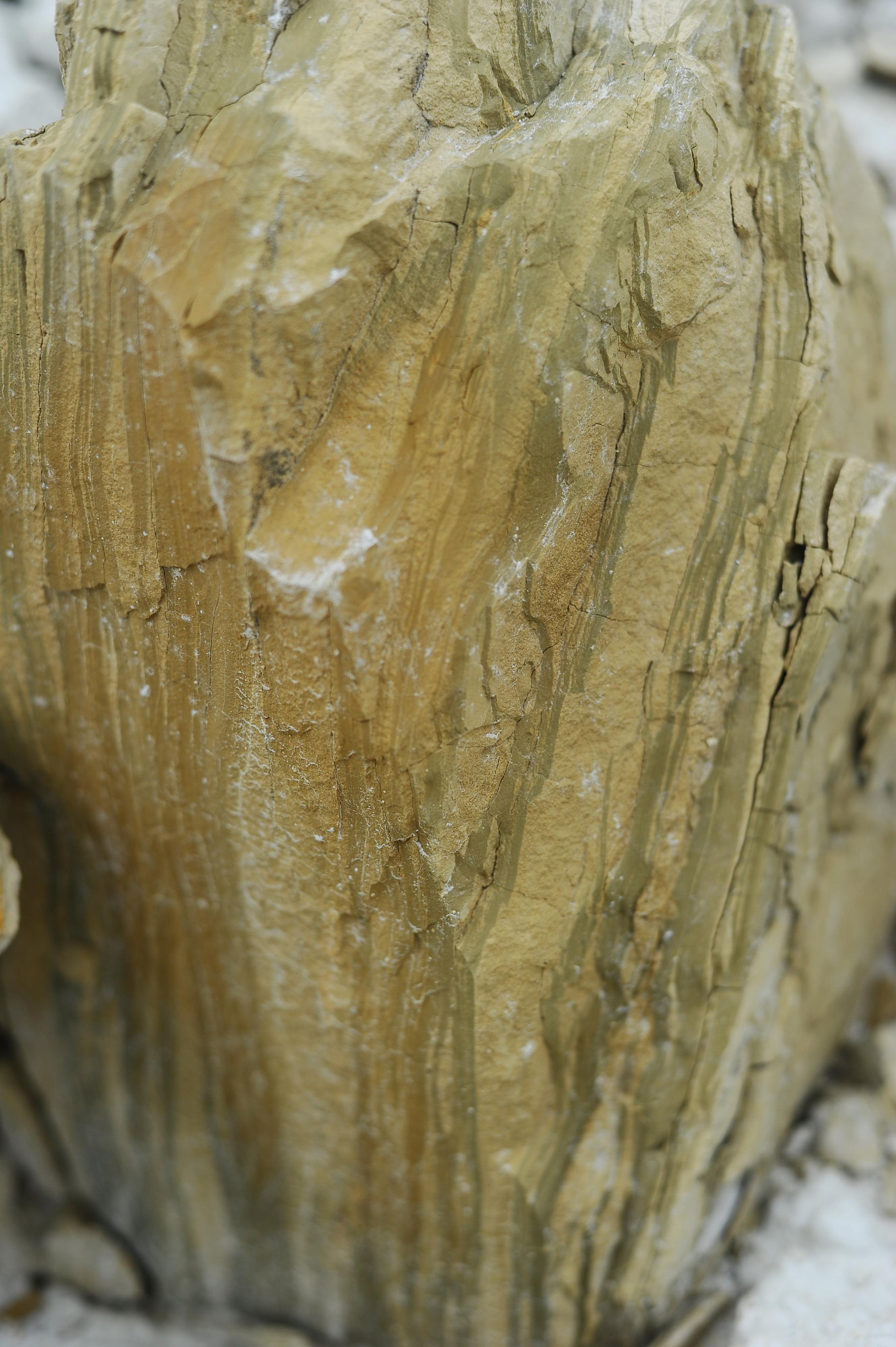 Контент для Стилиста Марии Полулях. Фотограф в Самаре Сидорова Настя