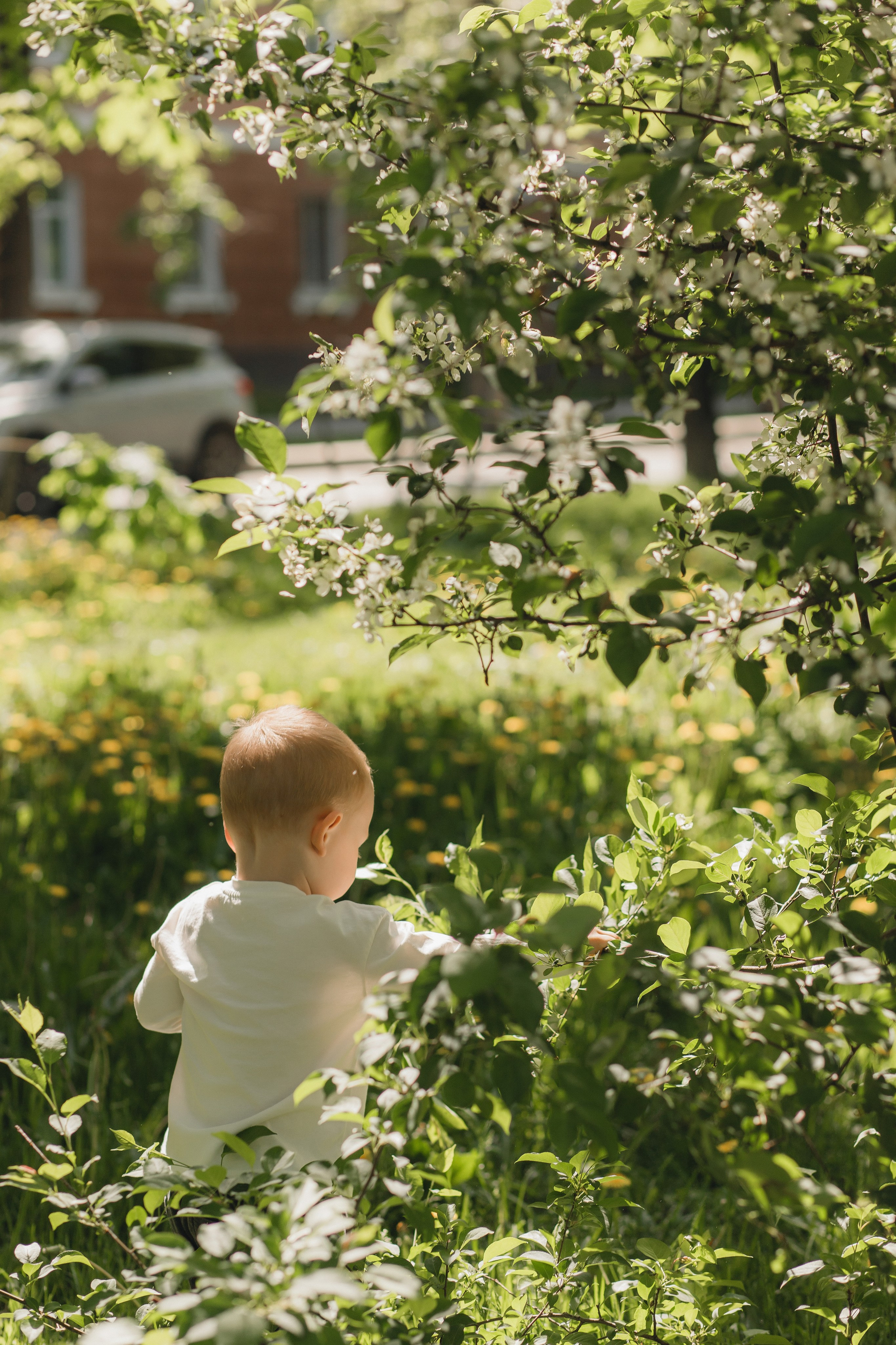 Одним летним днем. Главная