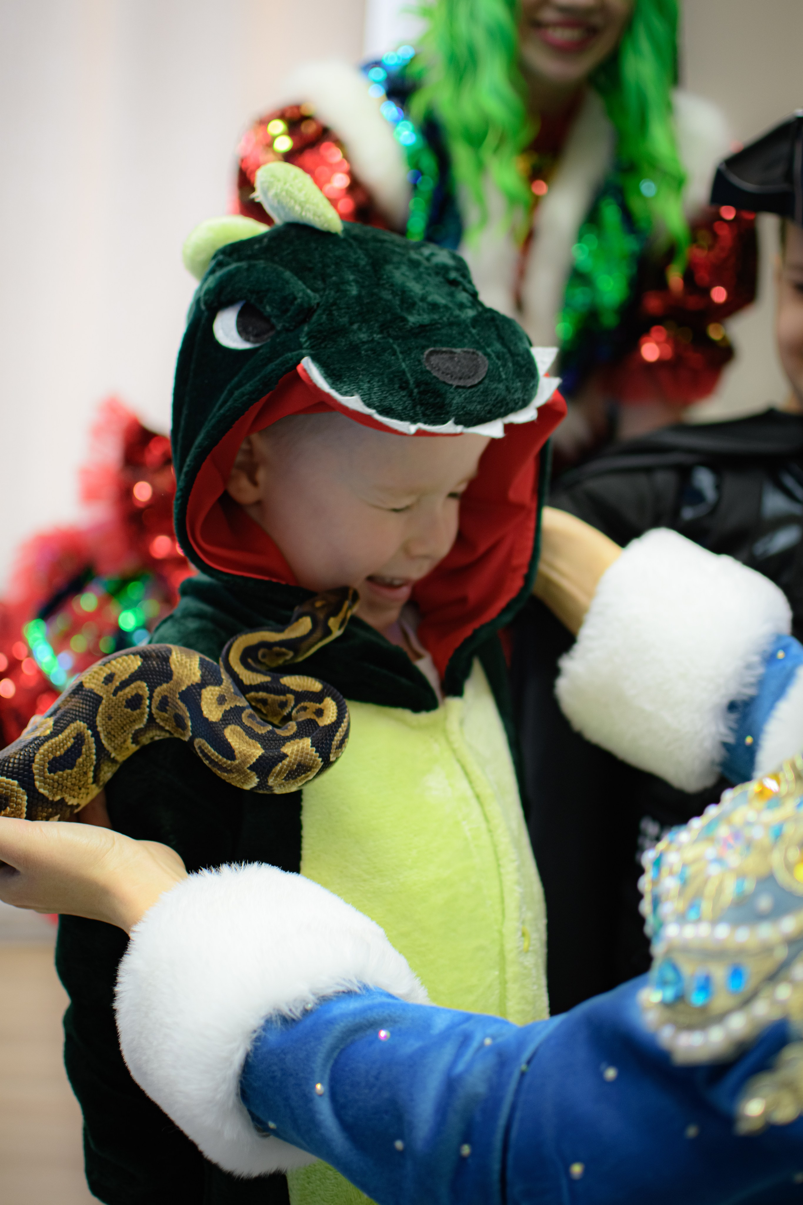 HAPPY NEW YEAR. Photokarish