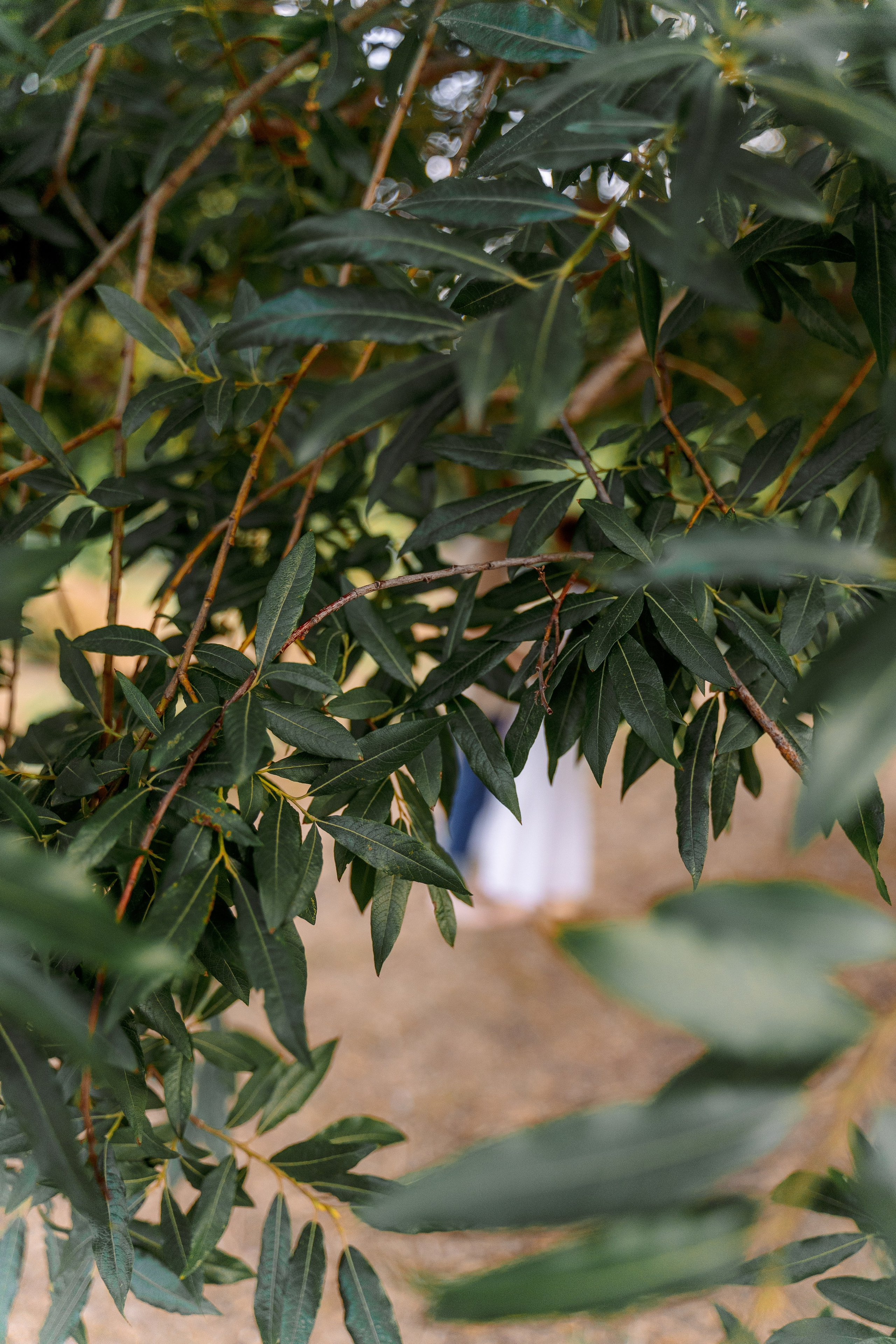 Ботанический сад. Фотограф Мария Зайчик