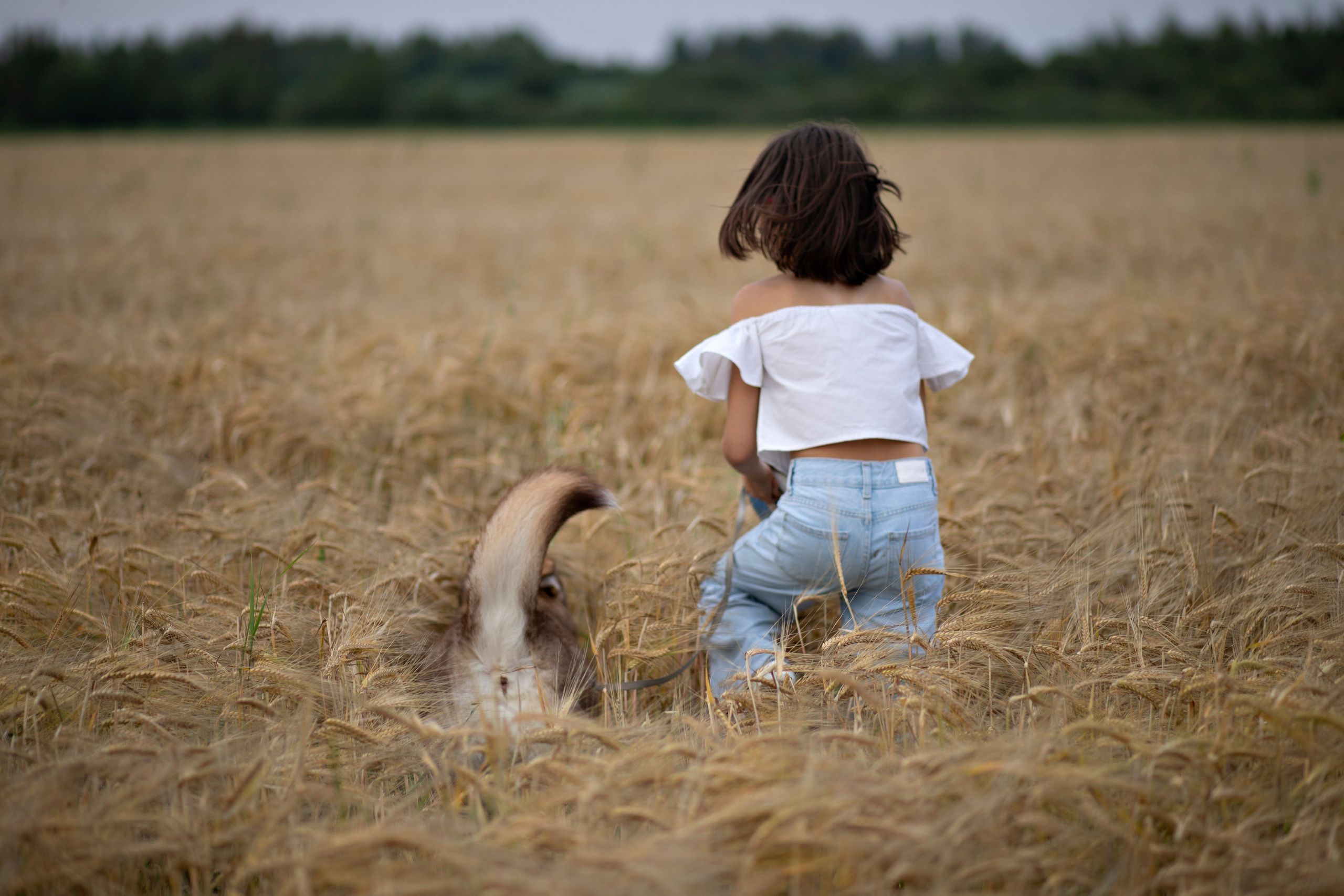 Прогулка с любимым питомцем. Фотограф Пушкино и Москва Анастасия Коган