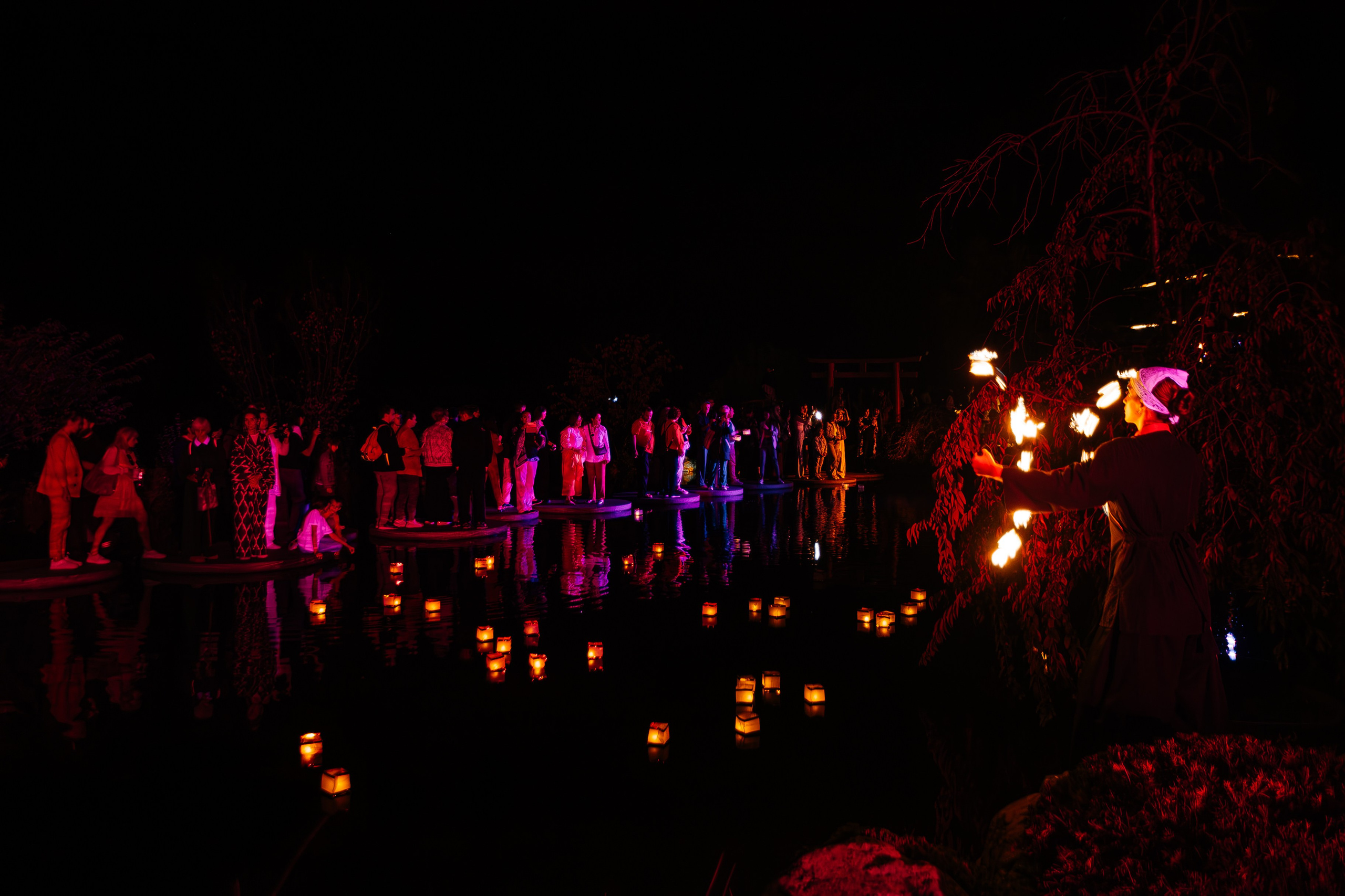 Мрия_Японский_сад_5.10.2024. Аминов Руслан | Фотограф