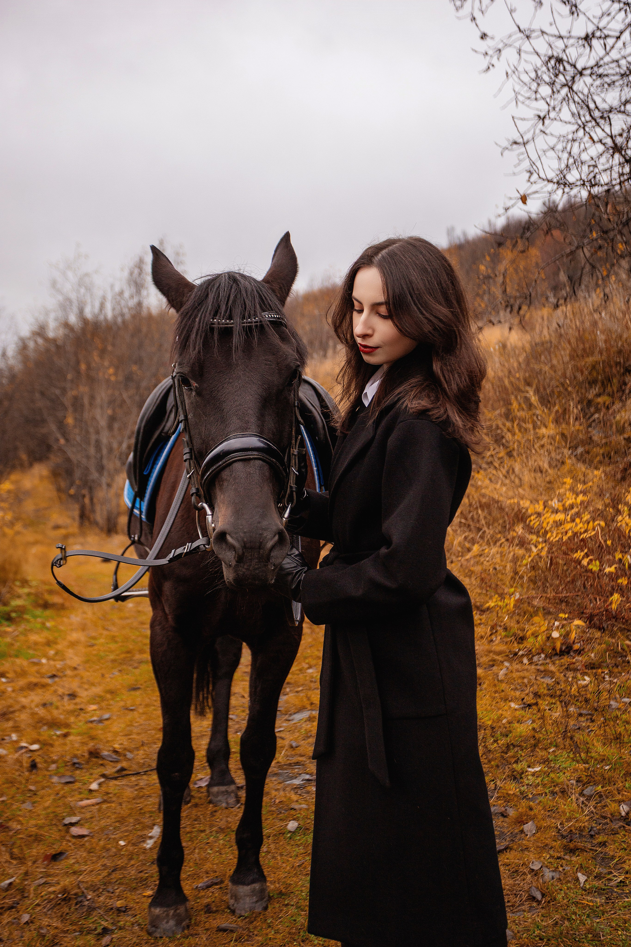 Horses. Фотограф Мурманск Лилия Маер