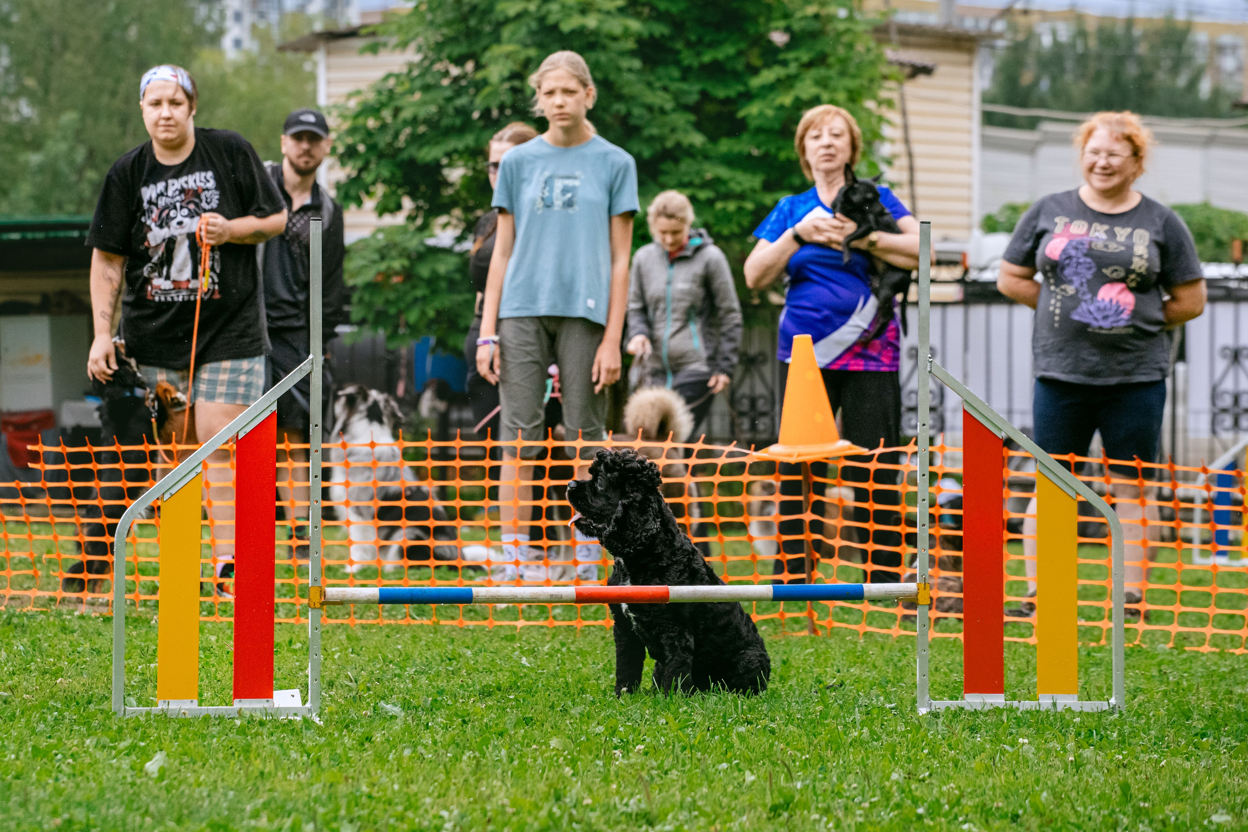 Соревнования по аджилити Долгопрудный 30.06.2025. Фотограф-анималист Татьяна Степанова