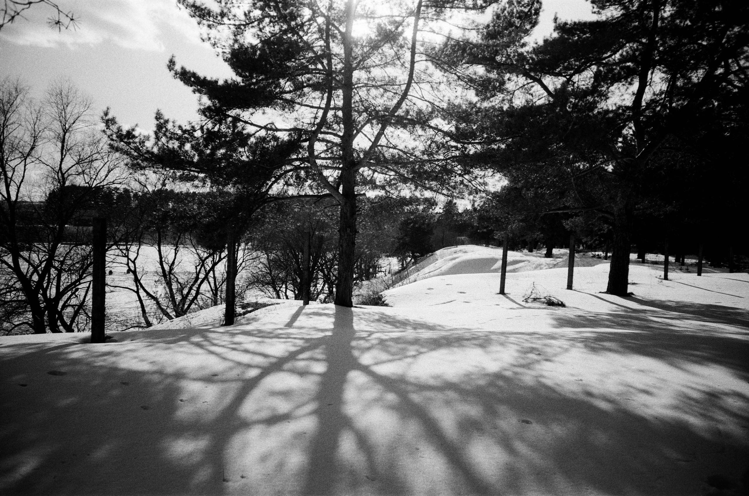 Grain. Artem Khusainov