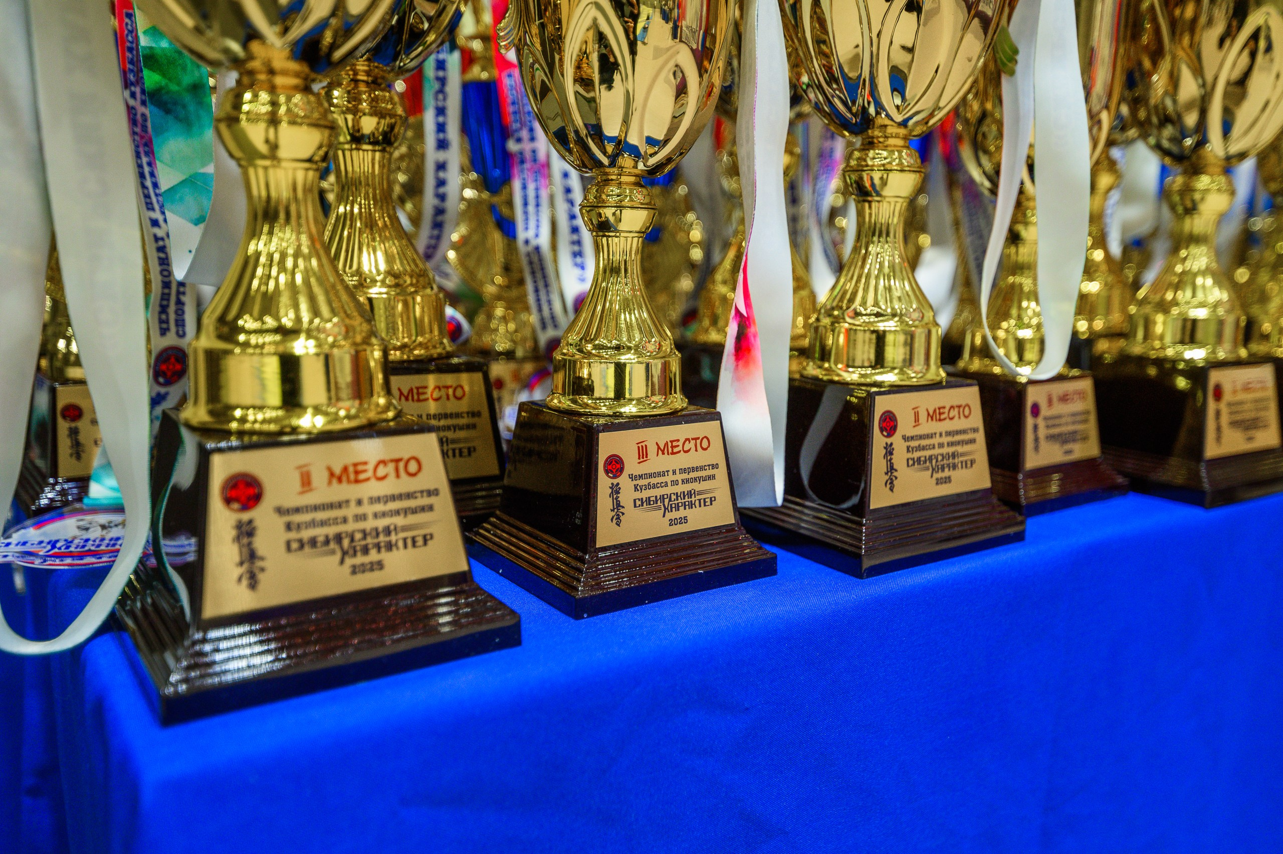 «Первенство и чемпионат Кузбасса по Киокушин» 09.03.25. Фотограф в Кемерово Владислав Шульц