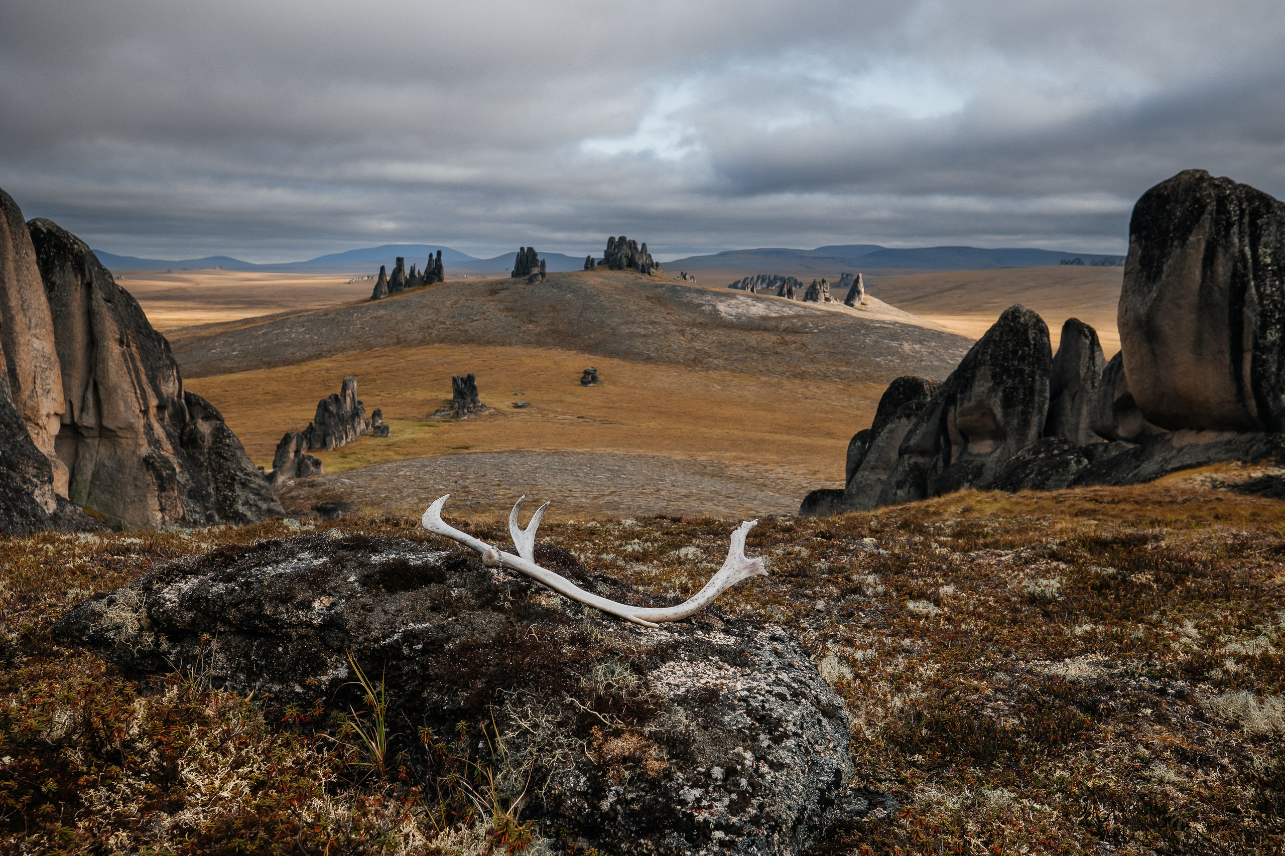 ПЕЙЗАЖ И ЛЮДИ. Саргылана Афанасьева