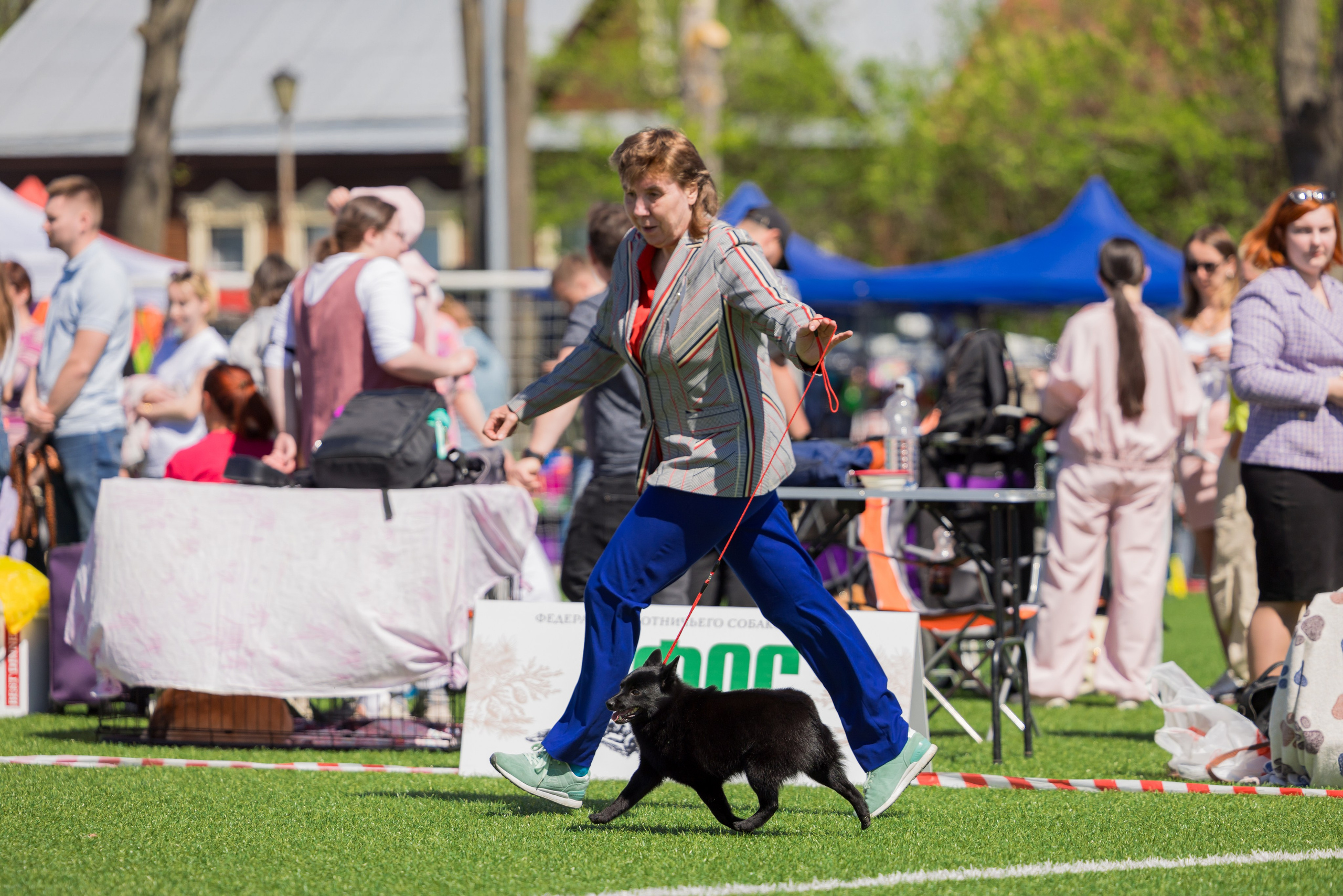 Суздаль 18-19.05.2024. Фотограф-анималист Юлия Германика