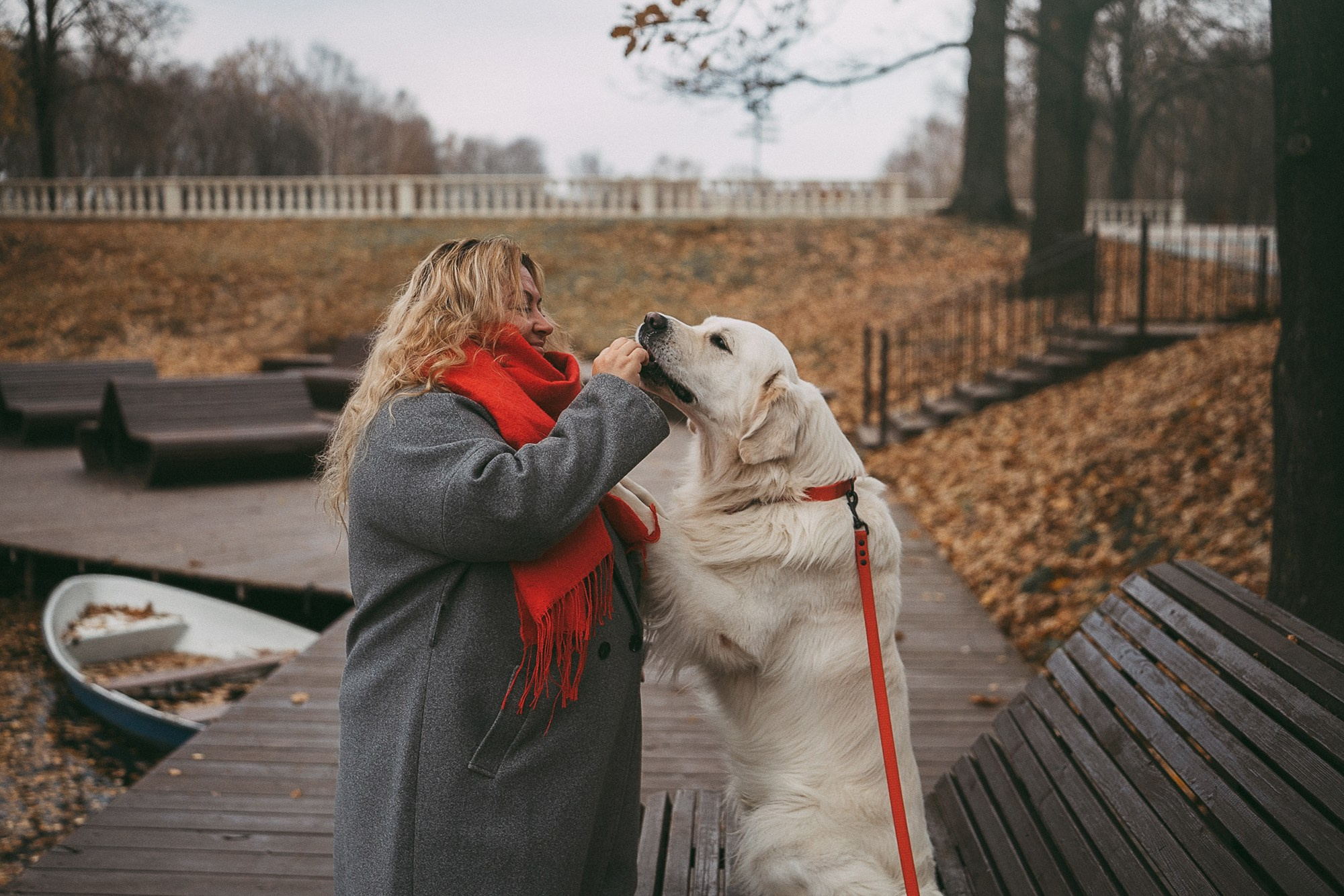 Лена и Мерлин. Фотограф анималист в Москве и Санкт-Петербурге Свиридова Анна