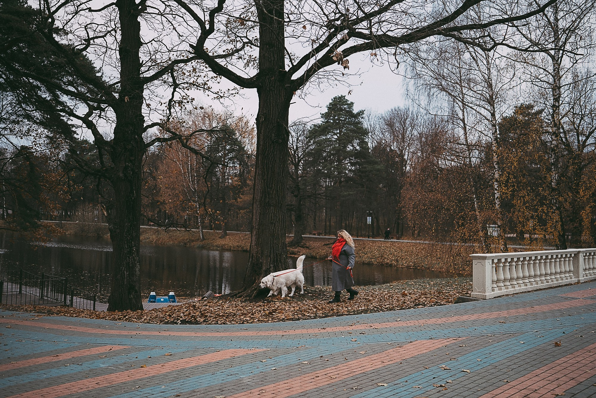 Лена и Мерлин. Фотограф анималист в Москве и Санкт-Петербурге Свиридова Анна