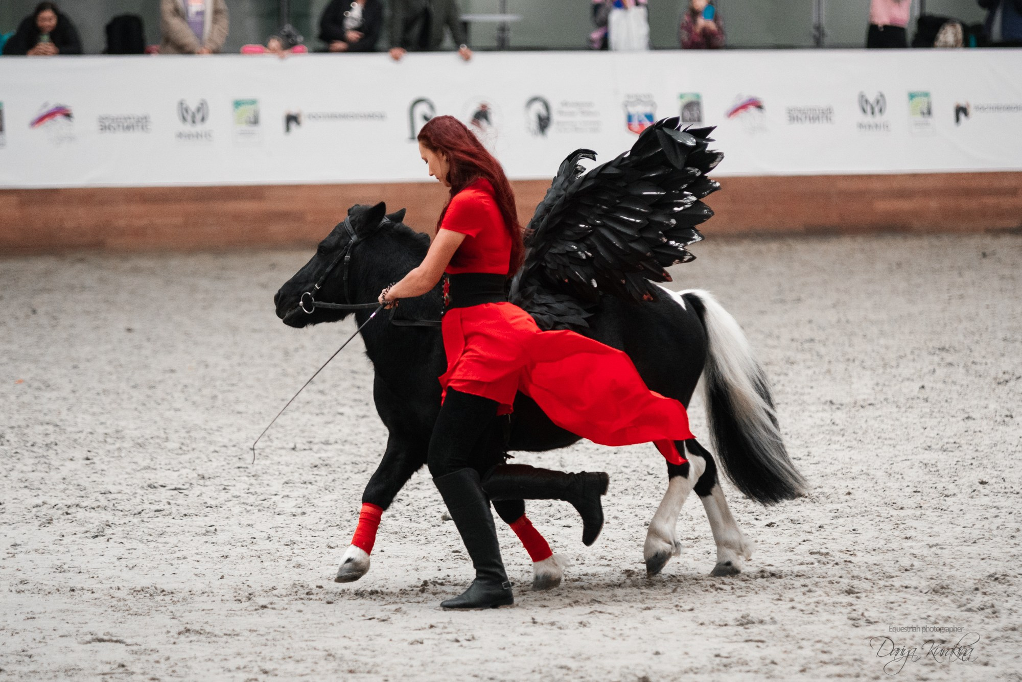8-я международная выставка Конная Россия. Конный фотограф Куракина Дарья • Фотосессии с лошадьми