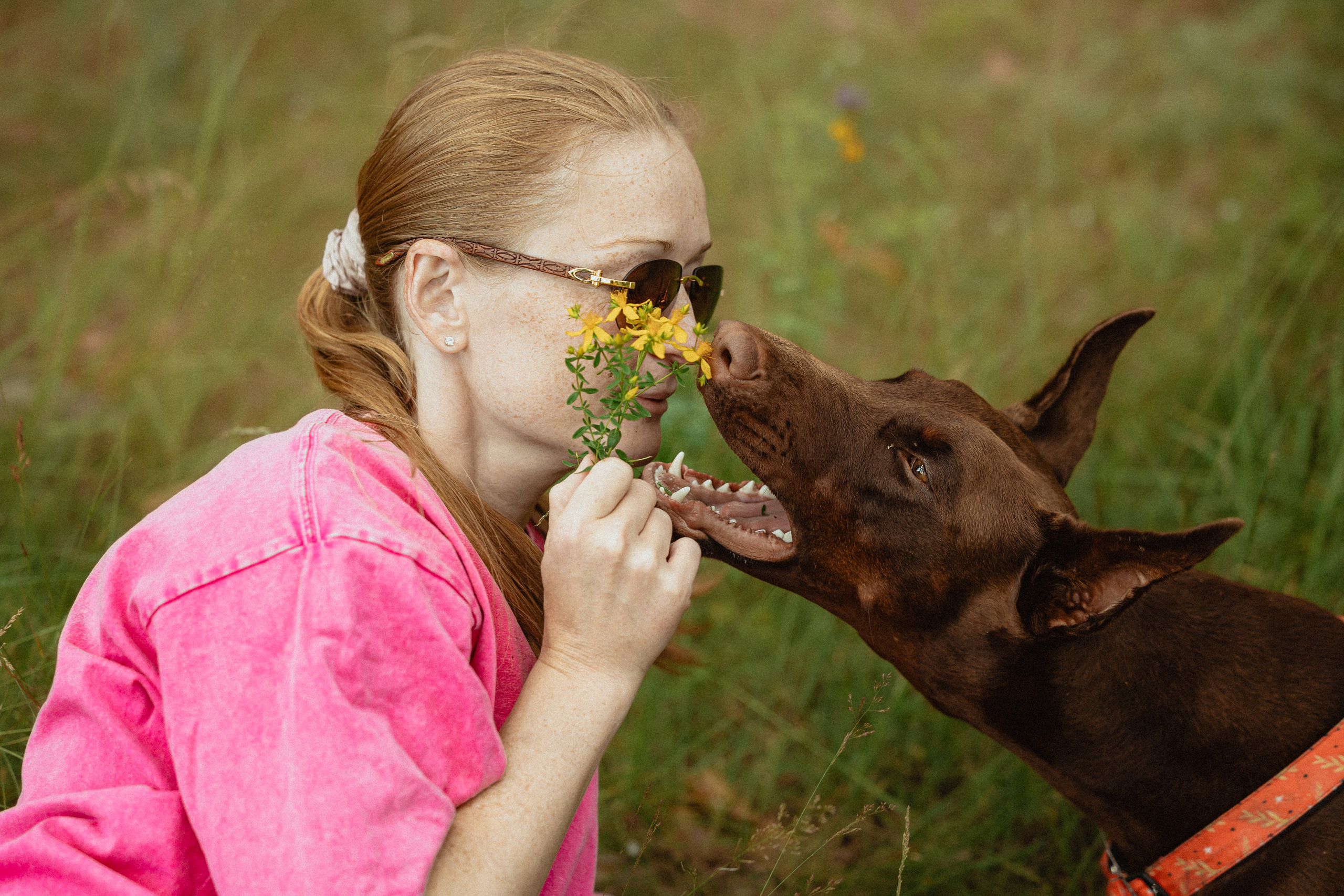 Выездной дог-тренинг от школы «Шерсть имею»