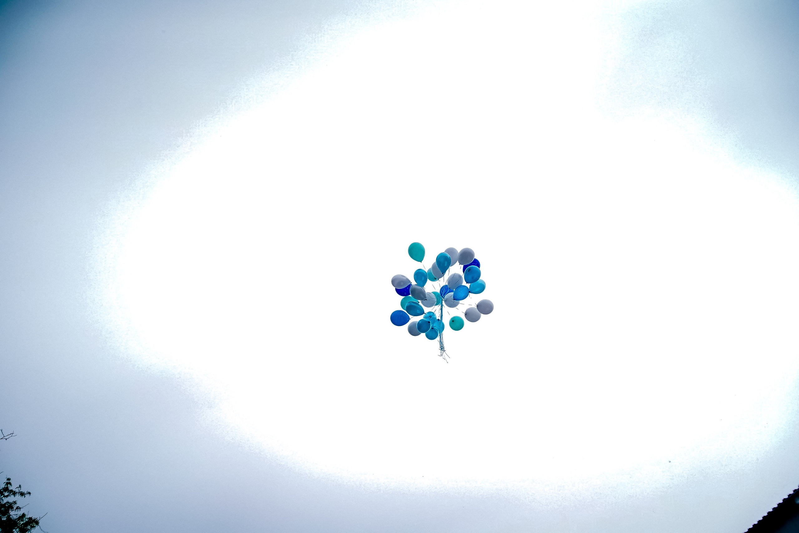 Выписка. Максим Матвийченко и Виктория Басова профессионалы своего дела