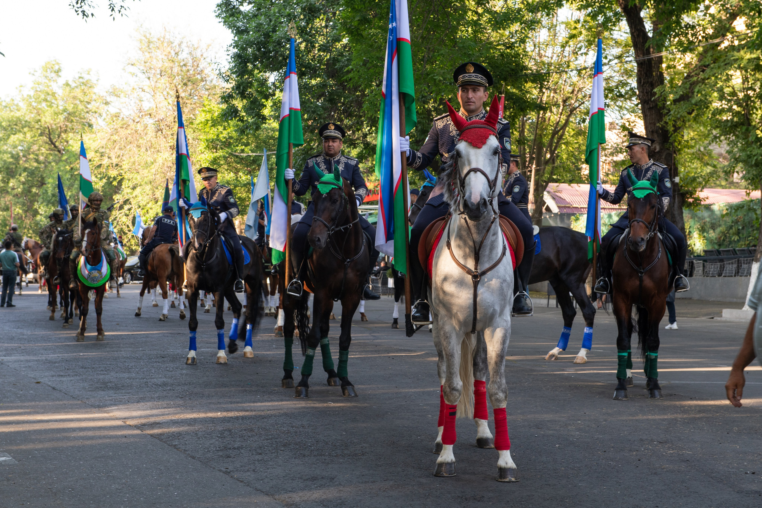 Конный парад в Ташкенте. Репортажный, спортивный и документальный фотограф в Ташкенте Алексей Елисеев