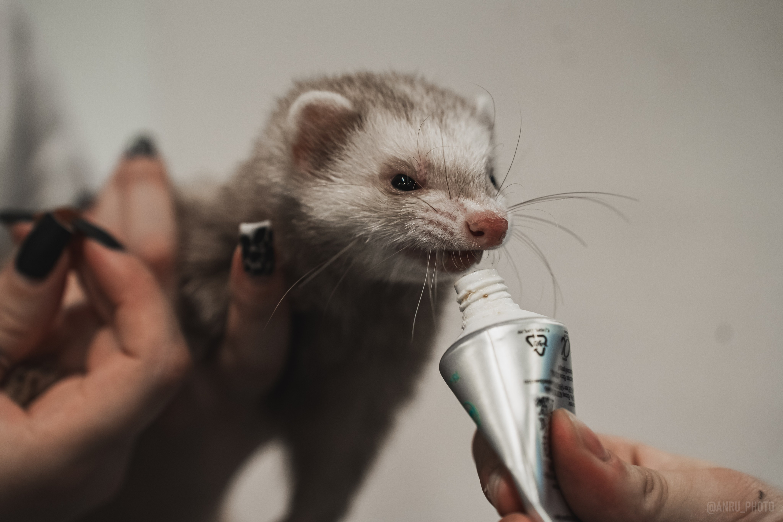 Fox Family fest. Репортажный фотограф Анастасия Рубцова