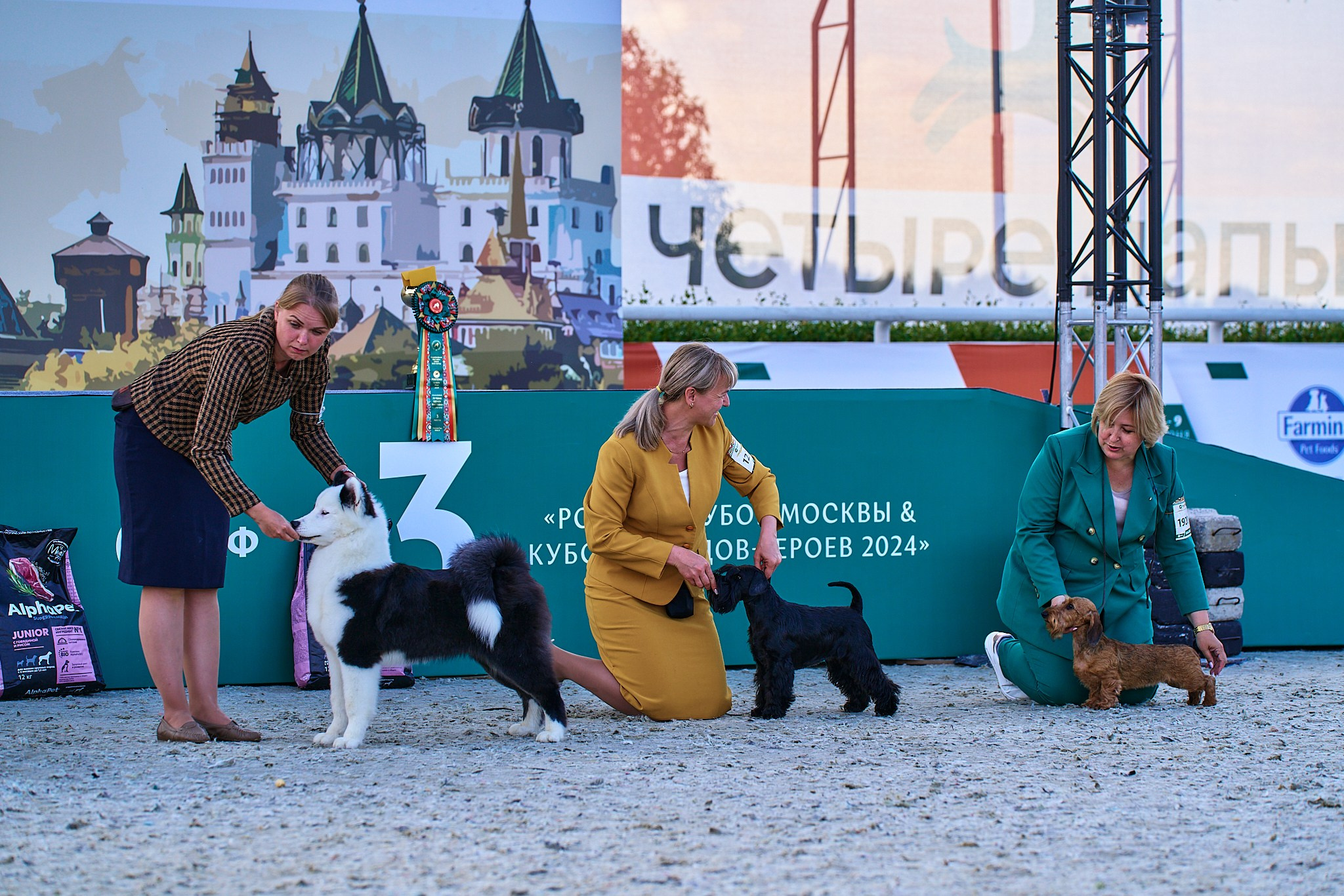 08.06.2024 «РОССИЯ. КУБОК РКФ 2024»