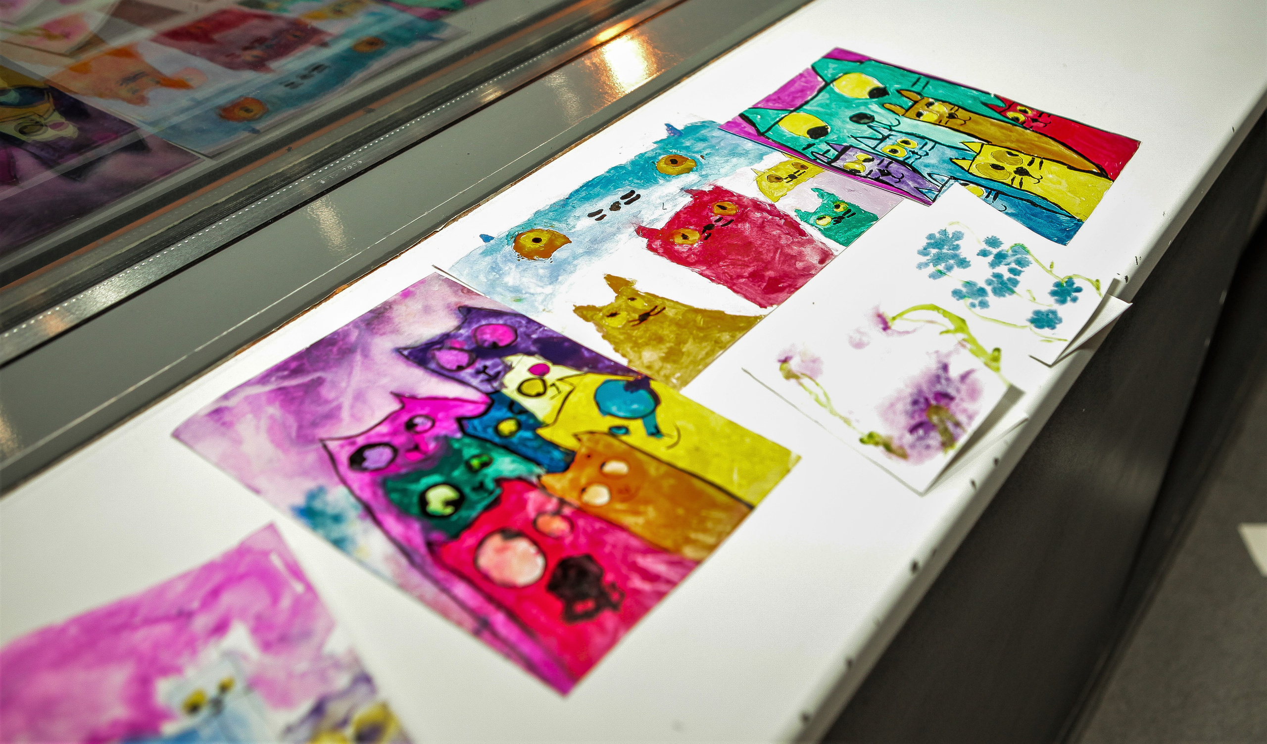 Всероссийские соревнования по аэротрубным дисциплинам. Репортажный, семейный, свадебный, портретный фотограф