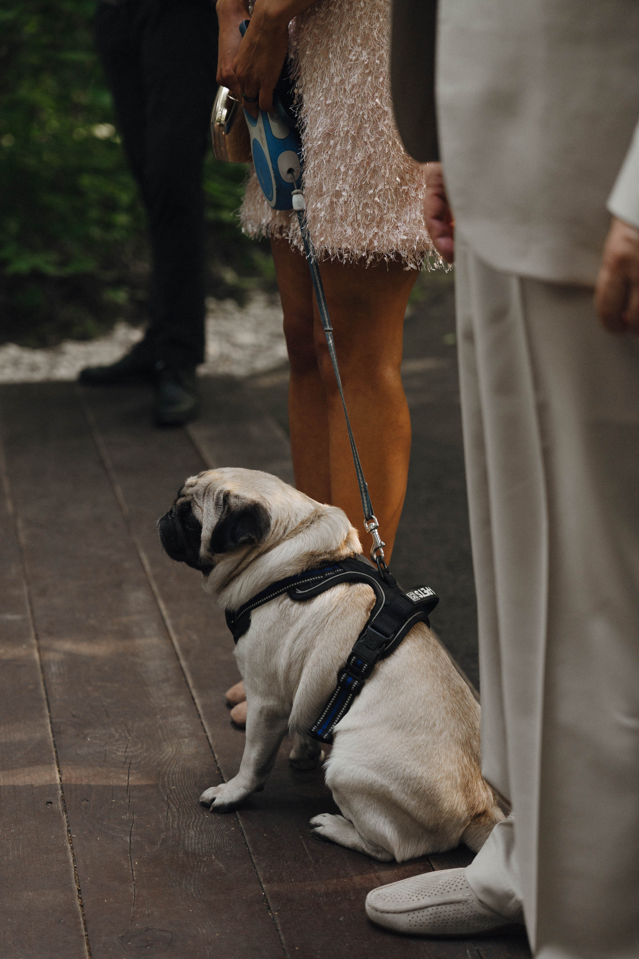 Евгений и Александра. Фотограф/ видеограф Катя Ильина Калуга