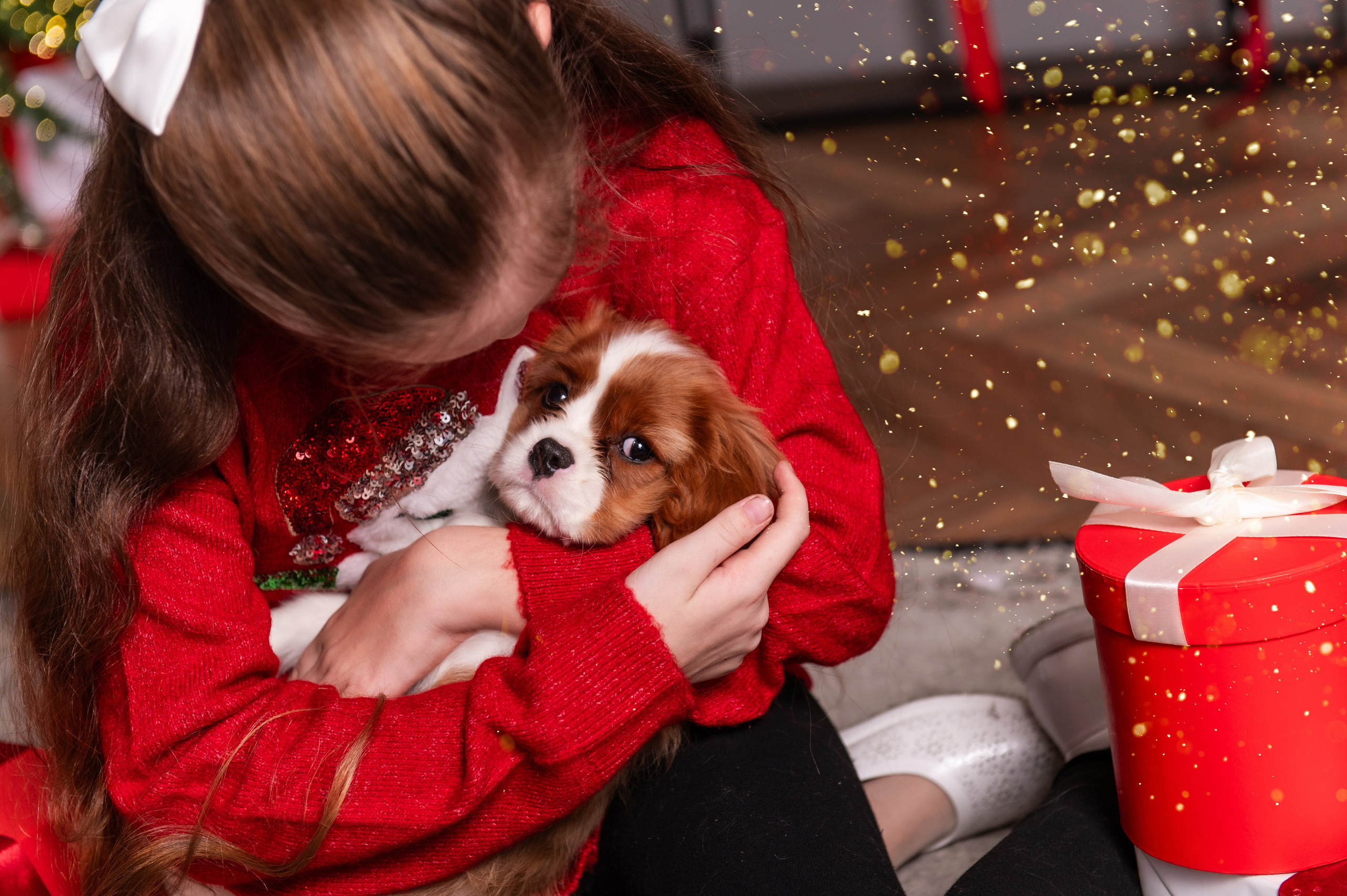 Новогодняя история с любимцем. Свадебный и семейный фотограф в Санкт-Петербурге — Мария Черепанова