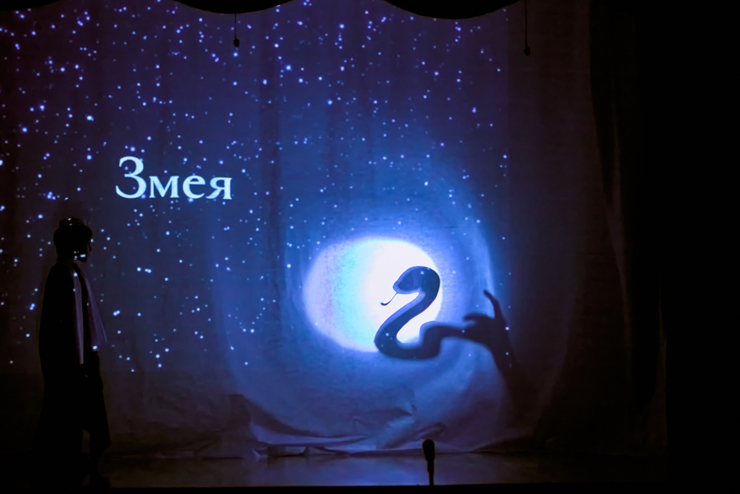 Фотографии с премьеры Маленький принц