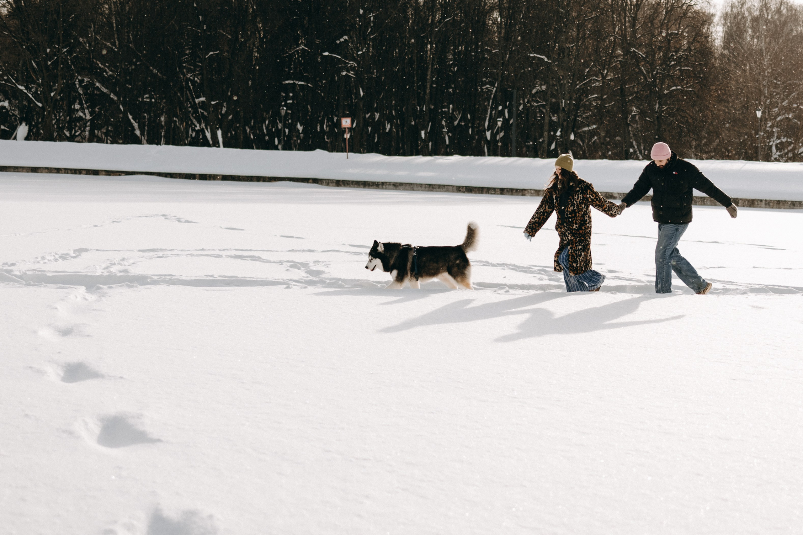 Вегас и его семья. Фотограф — Анималист | Санкт-Петербург